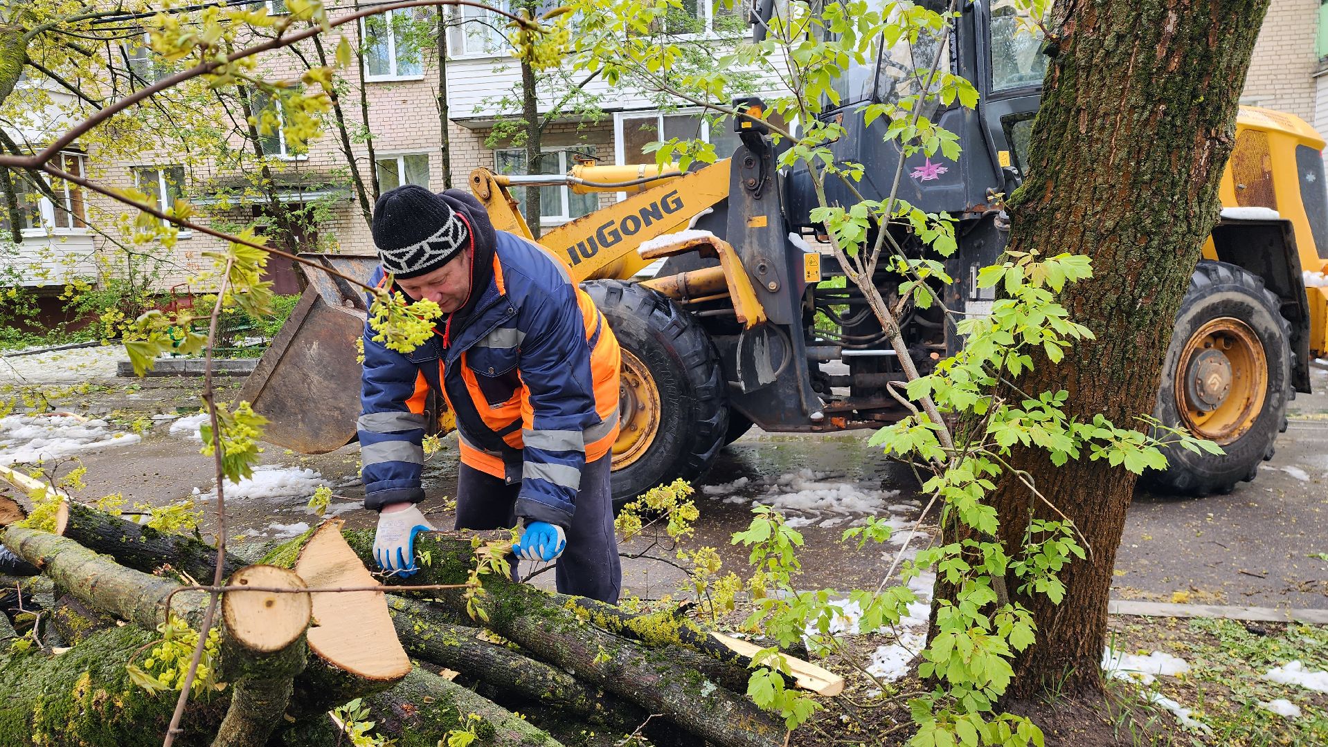истра, благоустройство, коммунальная служба,