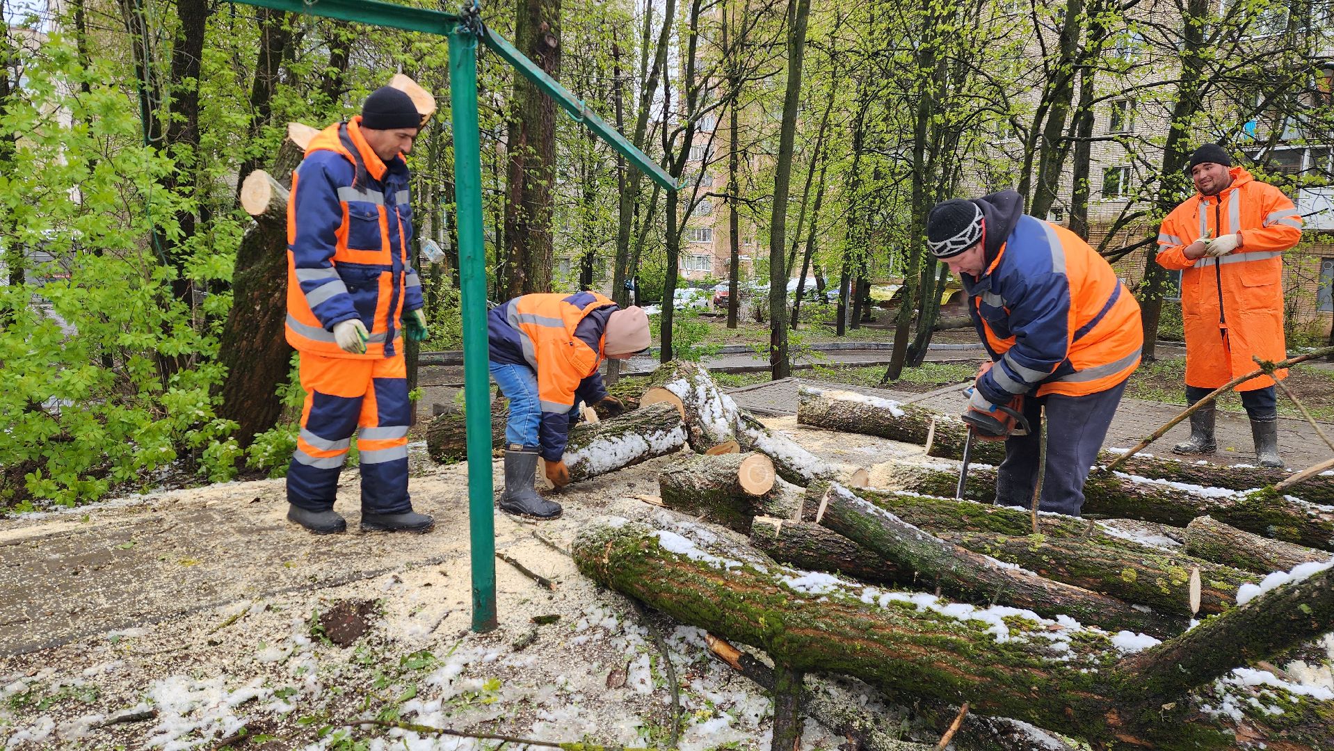 истра, благоустройство, коммунальная служба,