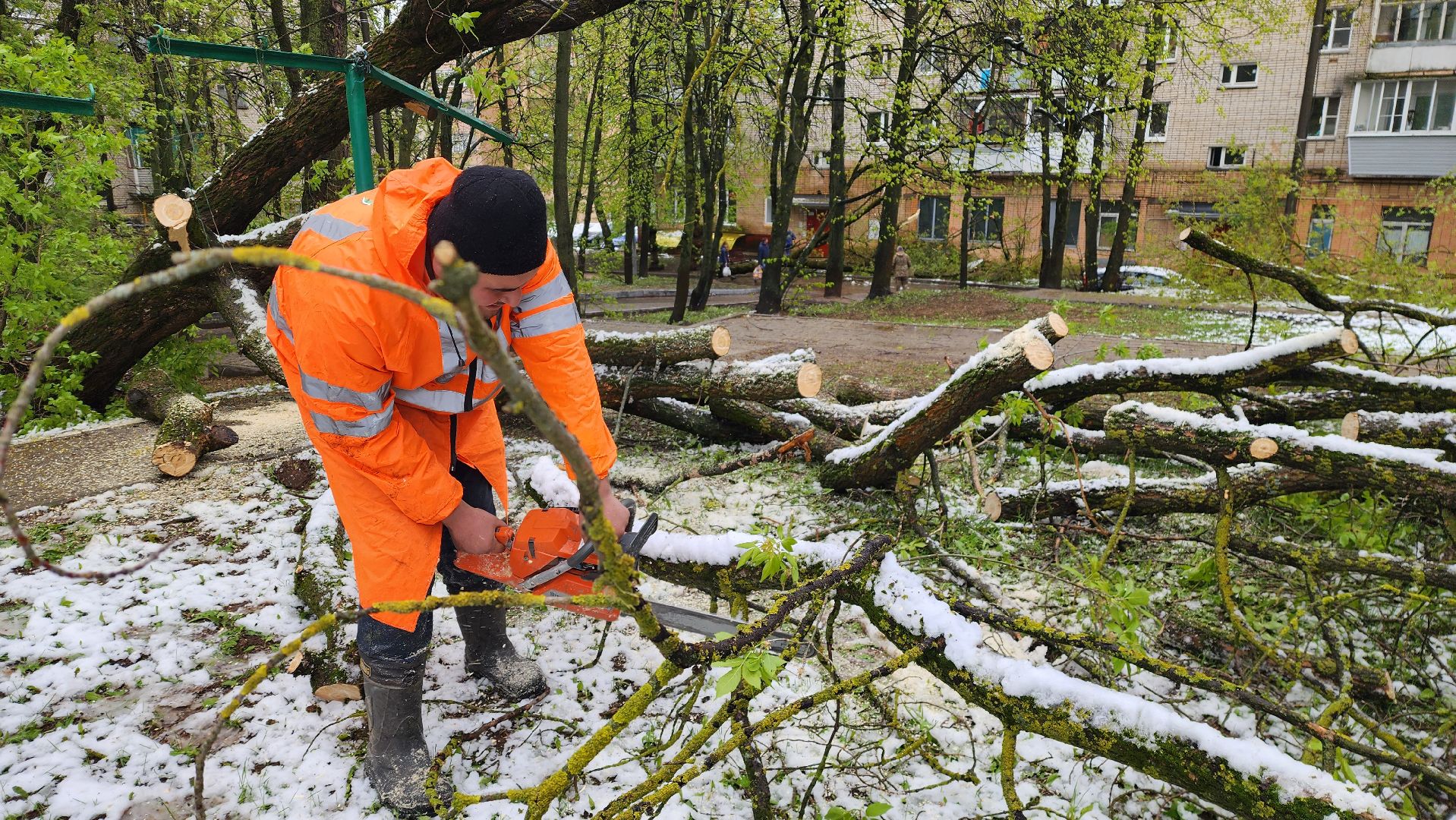истра, благоустройство, коммунальная служба,