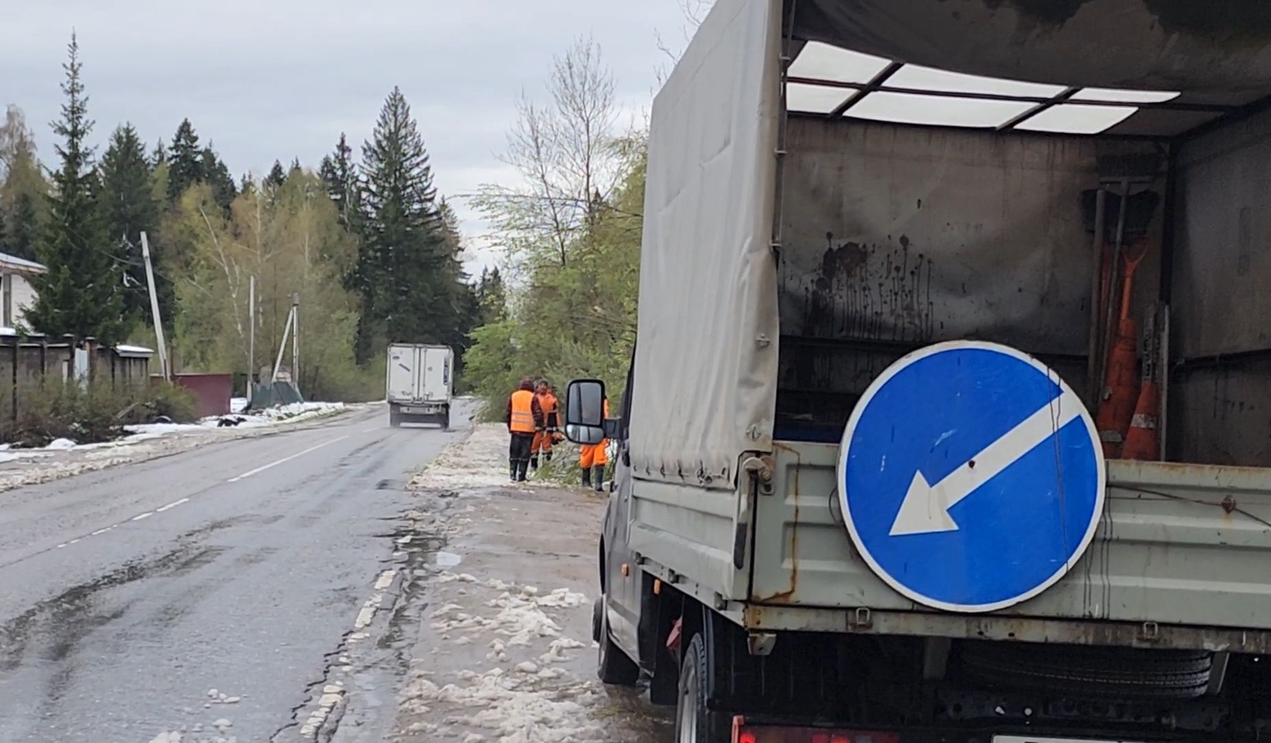 коммунальщики, деревья, бригада, опиловка,