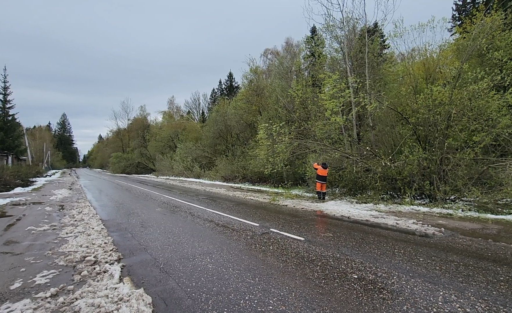 коммунальщики, деревья, бригада, опиловка,