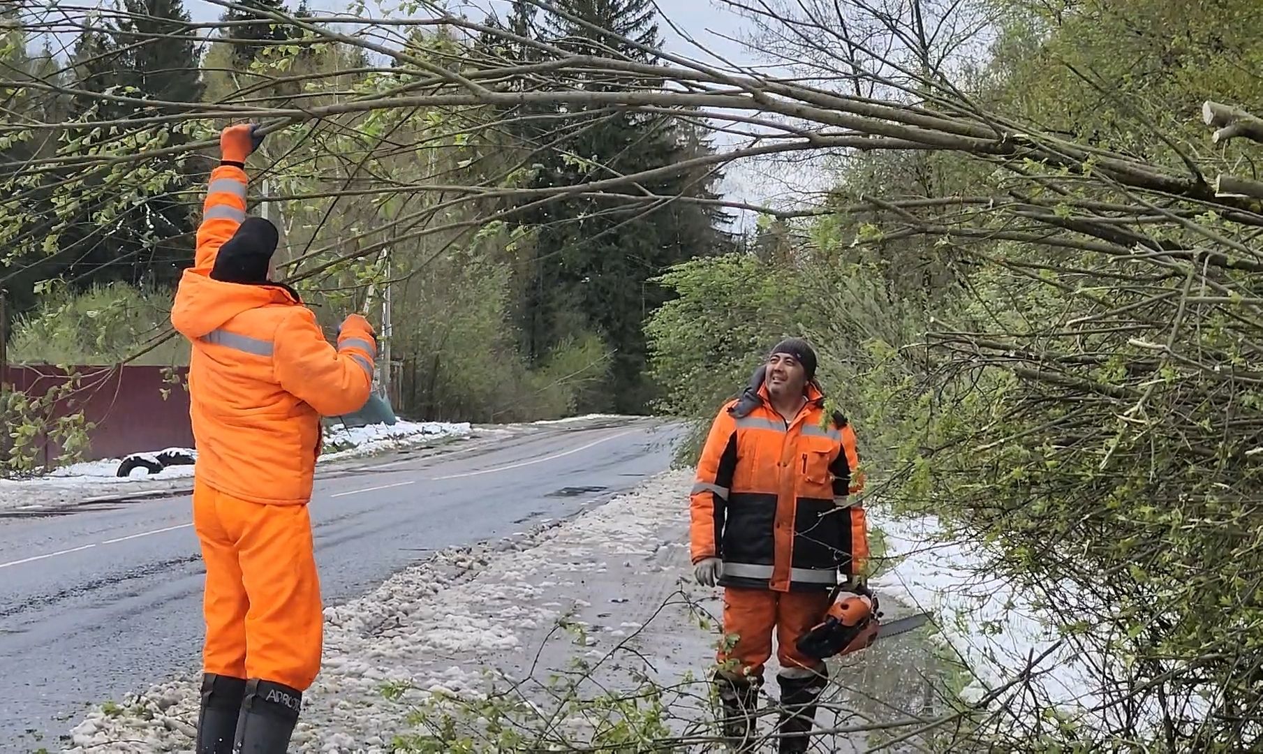 коммунальщики, деревья, бригада, опиловка,