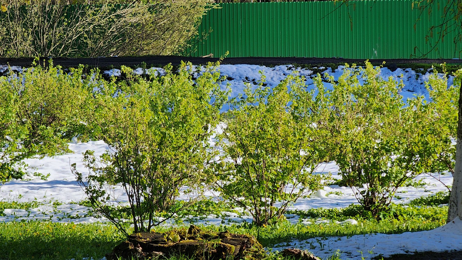 Электроснабжение, Моэск, Дизель-генератор, Руза,