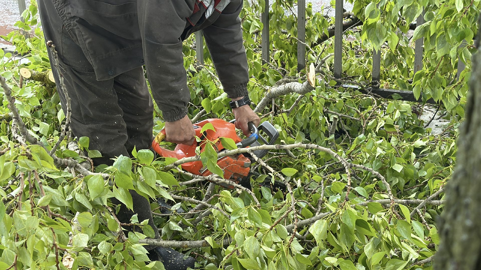 клин, общество, чп, жкх, устранение последствий снегопада,