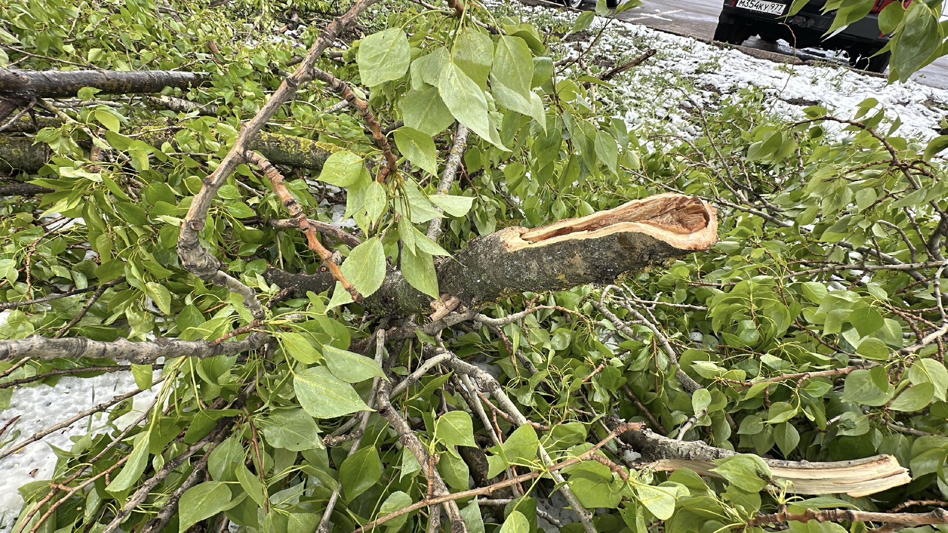 клин, общество, чп, жкх, устранение последствий снегопада,