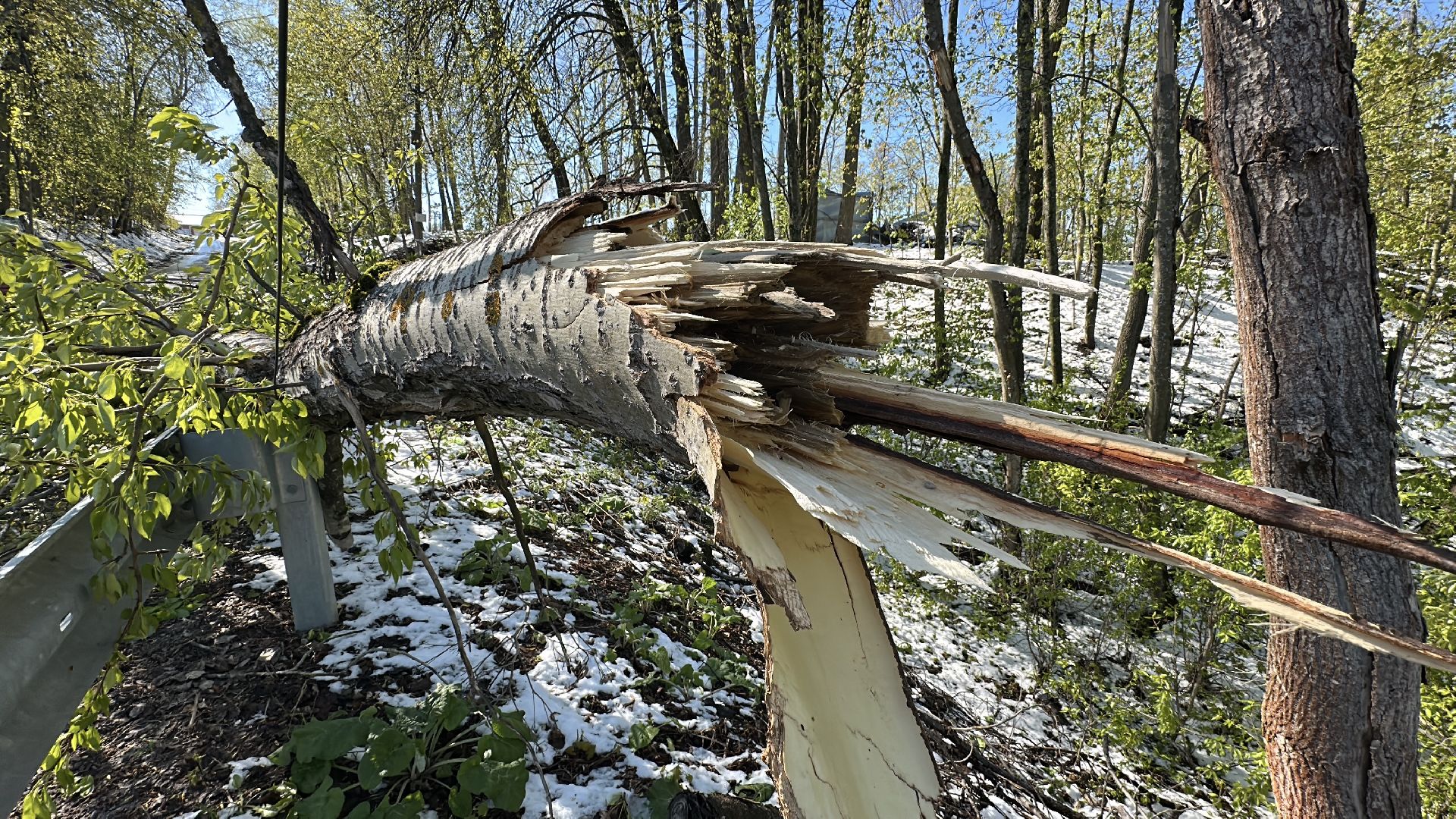 клин, общество, чп, жкх, устранение последствий снегопада,