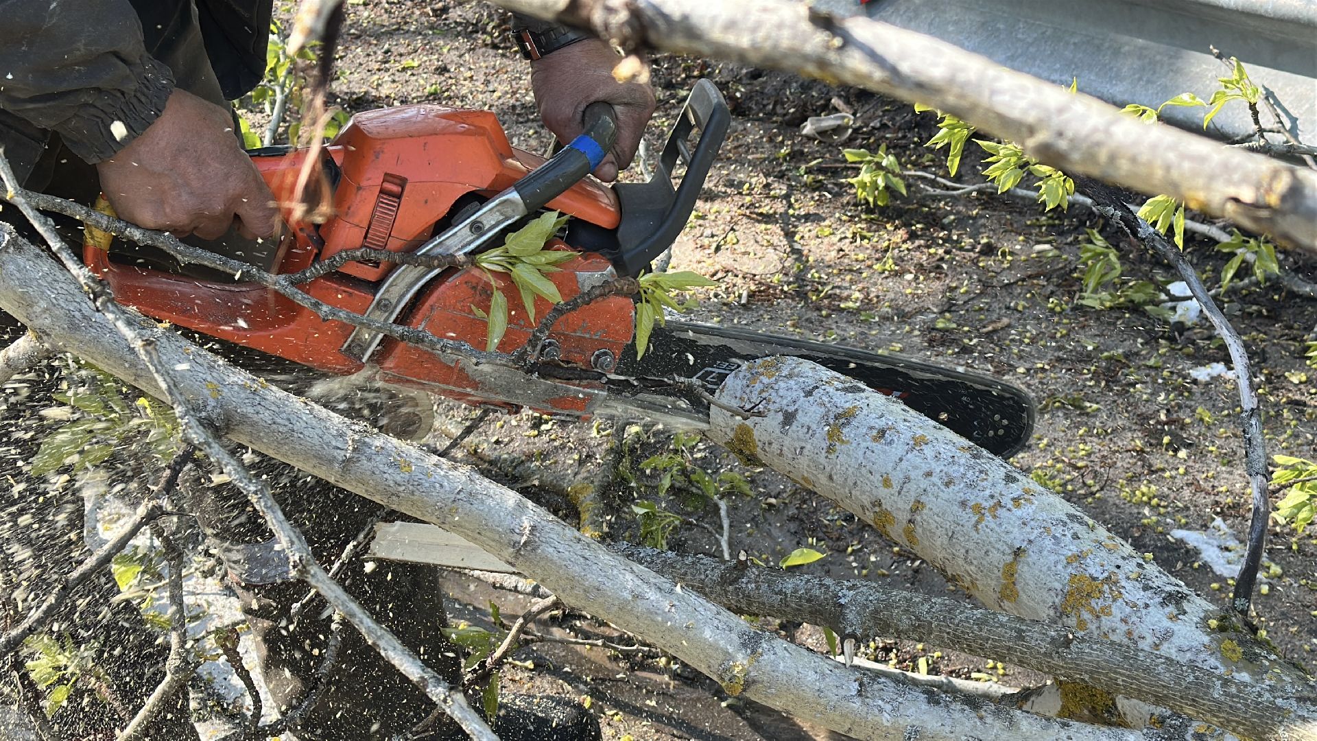 клин, общество, чп, жкх, устранение последствий снегопада,
