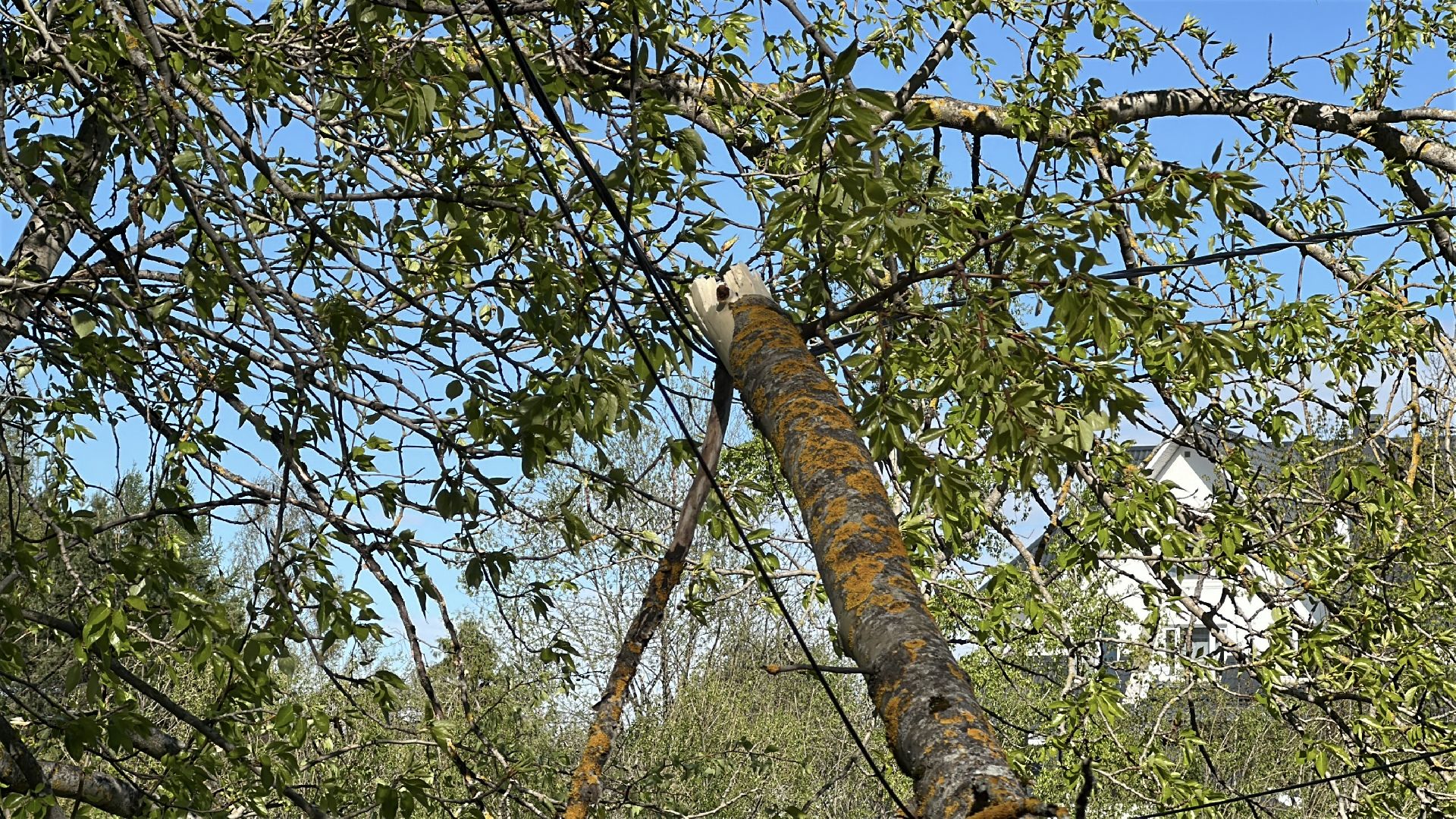клин, общество, чп, жкх, устранение последствий снегопада,