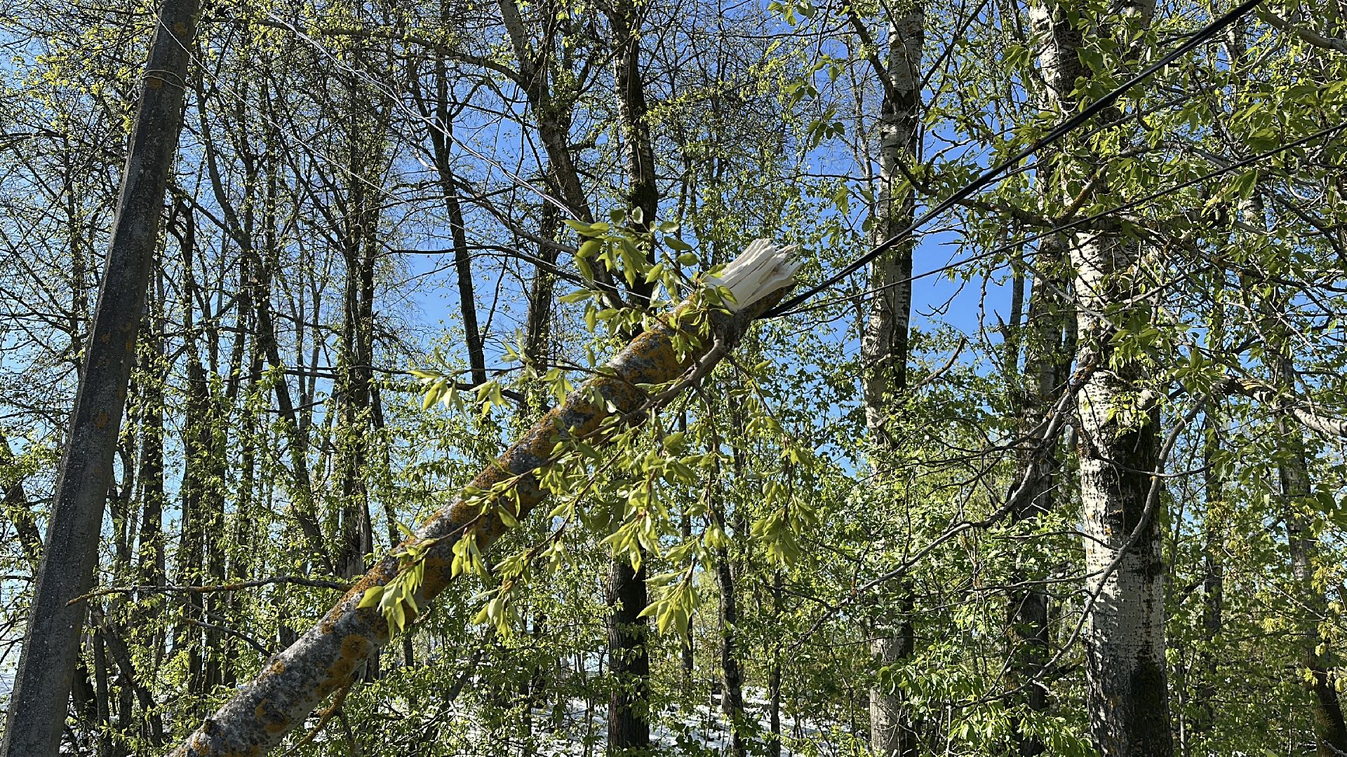 клин, общество, чп, жкх, устранение последствий снегопада,