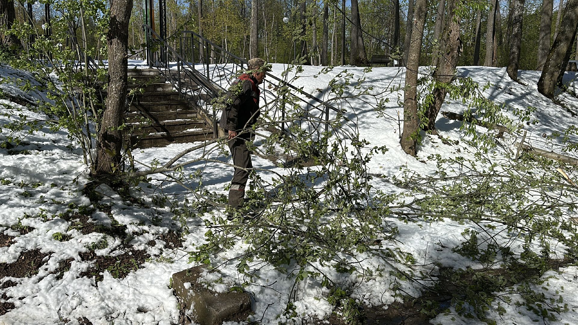 клин, общество, чп, жкх, устранение последствий снегопада,