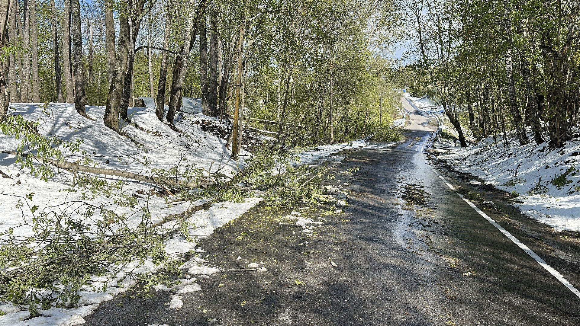 клин, общество, чп, жкх, устранение последствий снегопада,