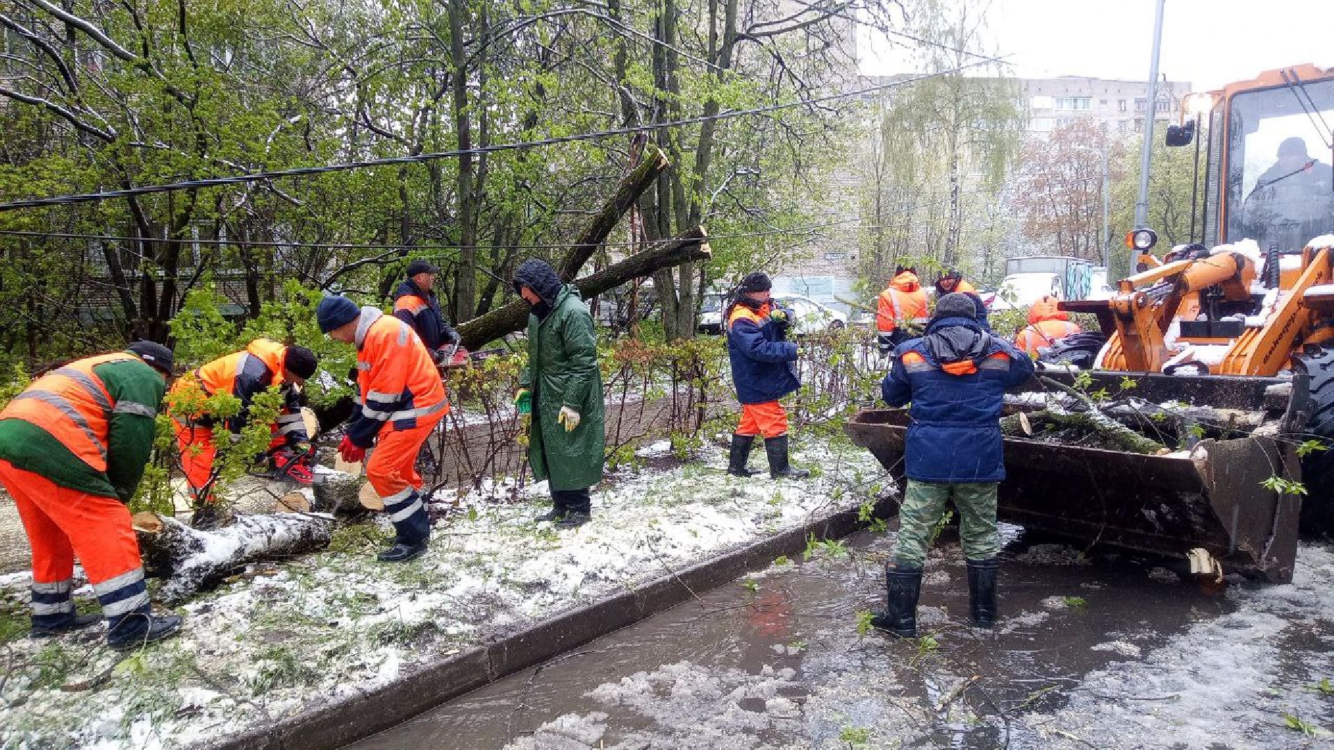 последствия снегопада, ивантеевка, упавшие деревья, коммунальная служба, коммунальная техника, подтопление территории,