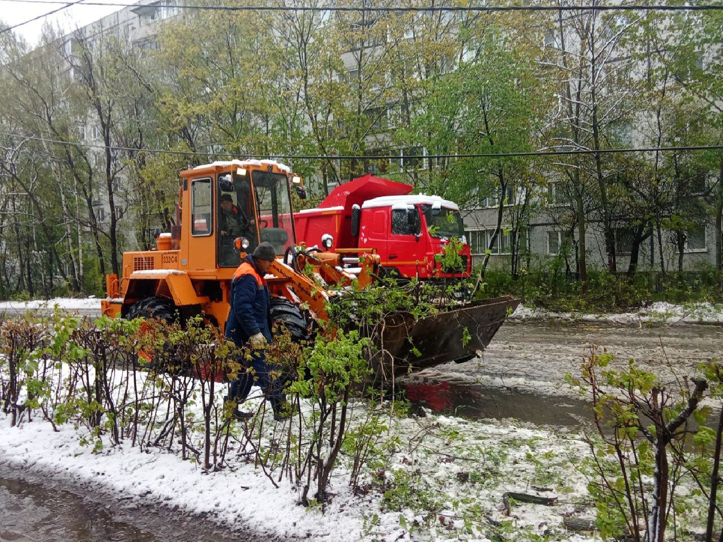 последствия снегопада, ивантеевка, упавшие деревья, коммунальная служба, коммунальная техника, подтопление территории,