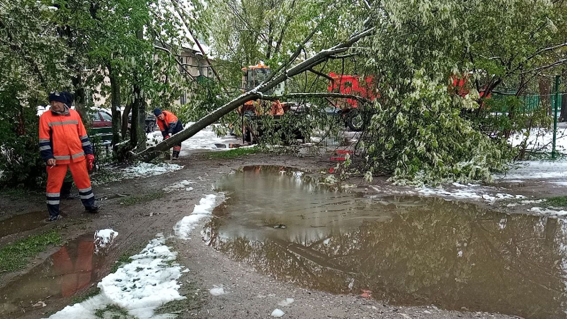 последствия снегопада, ивантеевка, упавшие деревья, коммунальная служба, коммунальная техника, подтопление территории,