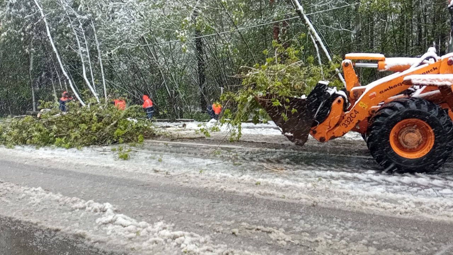 последствия снегопада, ивантеевка, упавшие деревья, коммунальная служба, коммунальная техника, подтопление территории,