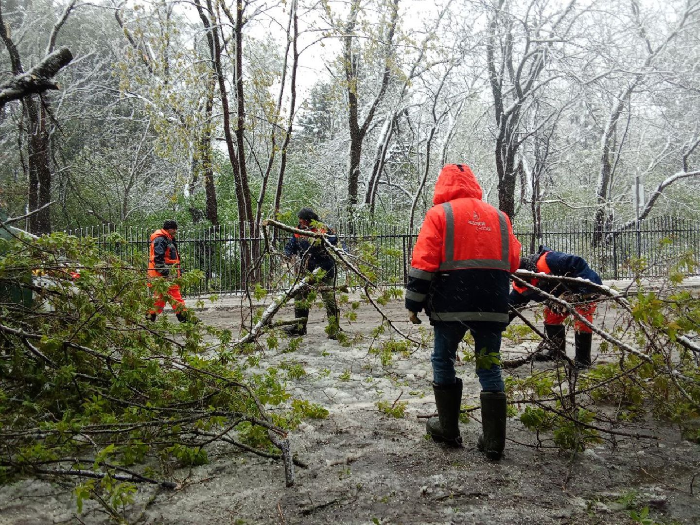 последствия снегопада, ивантеевка, упавшие деревья, коммунальная служба, коммунальная техника, подтопление территории,