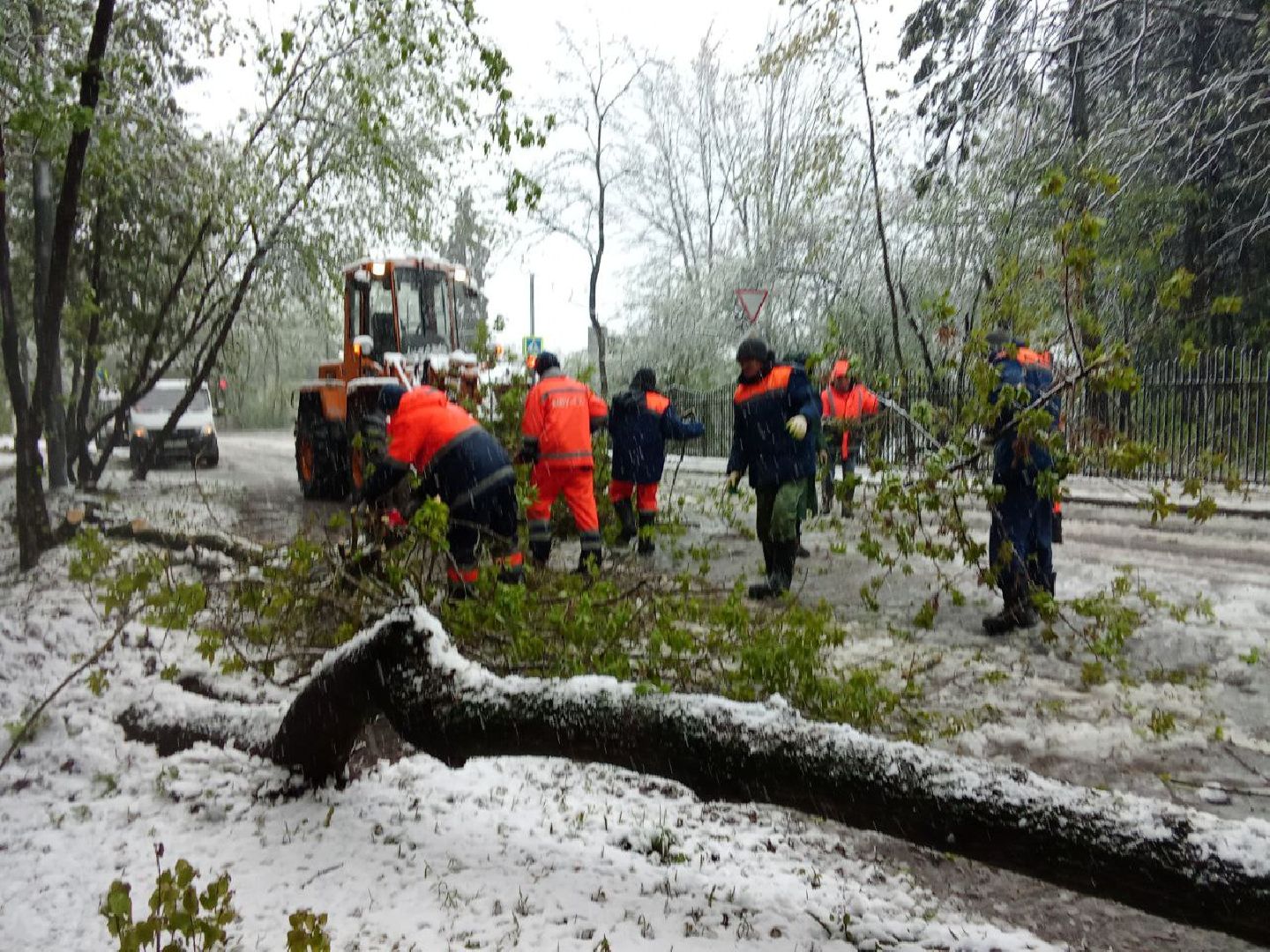 последствия снегопада, ивантеевка, упавшие деревья, коммунальная служба, коммунальная техника, подтопление территории,