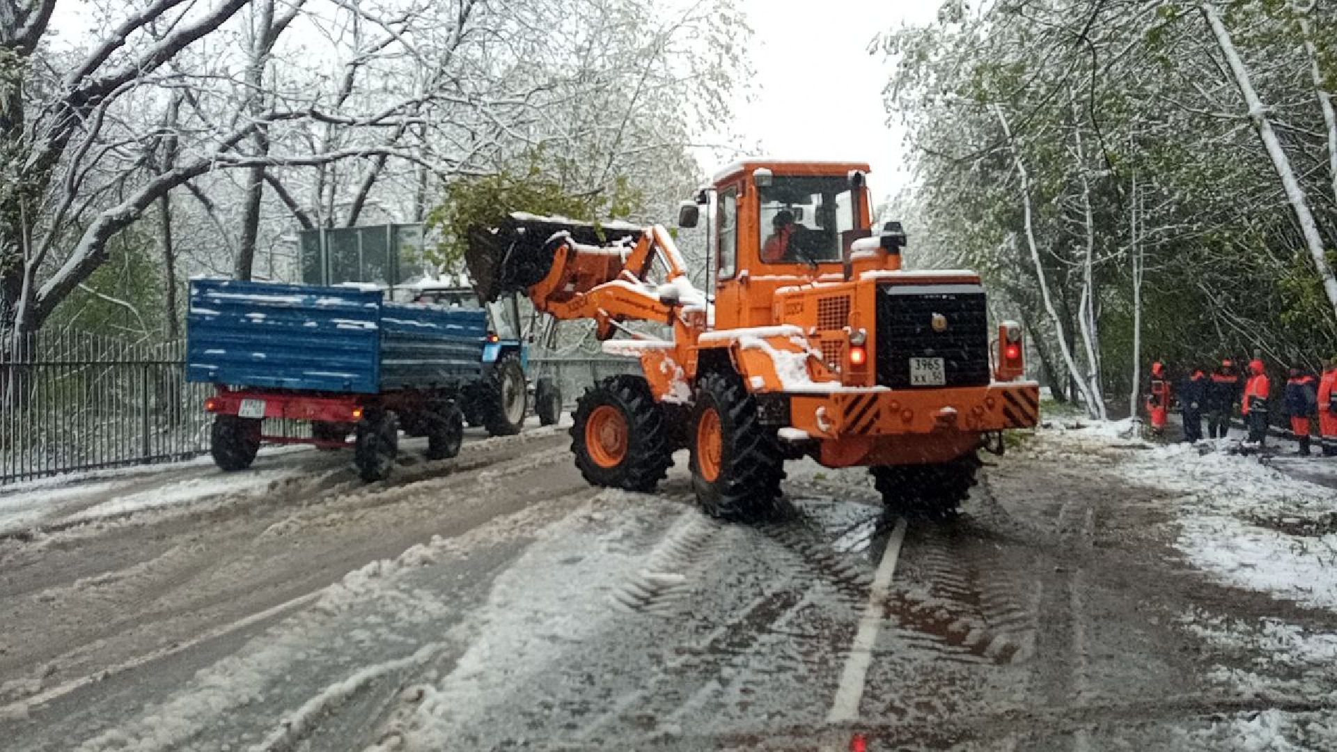 последствия снегопада, ивантеевка, упавшие деревья, коммунальная служба, коммунальная техника, подтопление территории,