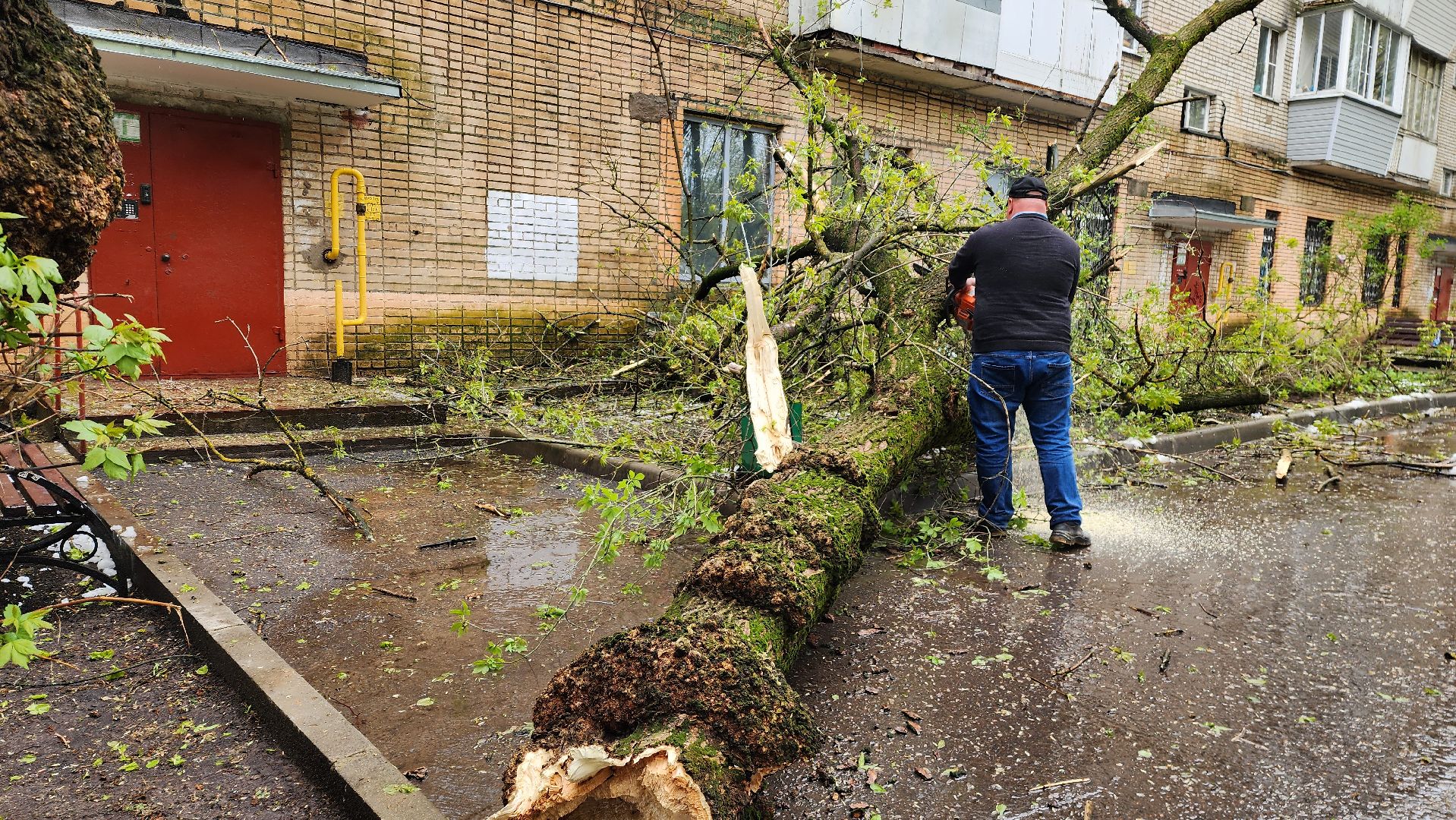 истра, благоустройство, дворы,