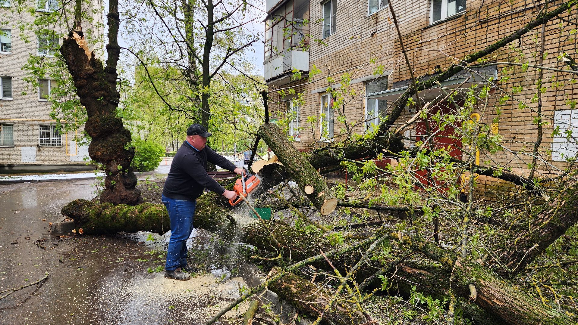 истра, благоустройство, дворы,