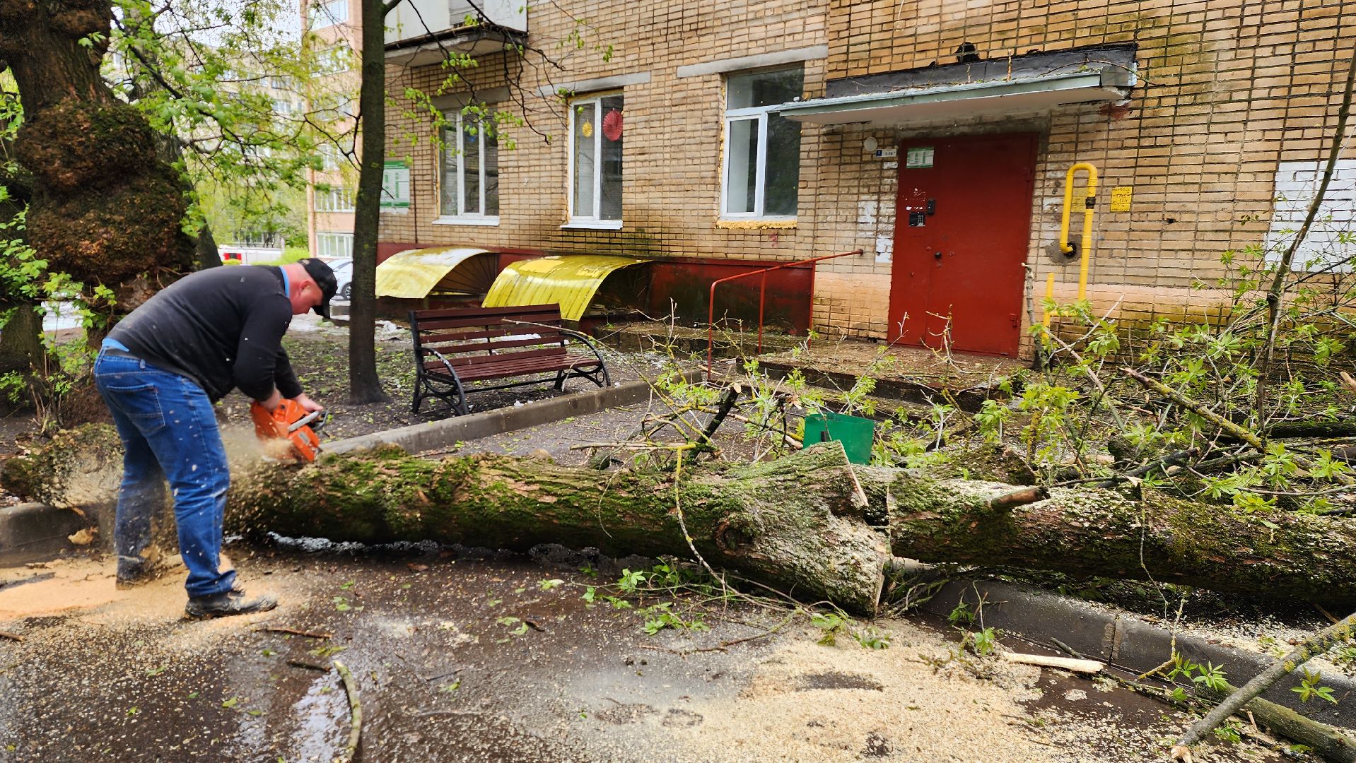 истра, благоустройство, дворы,
