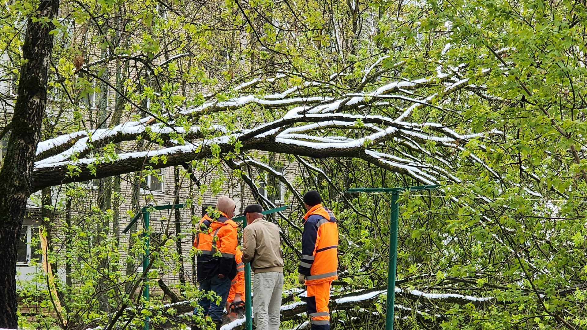 истра, благоустройство, дворы,