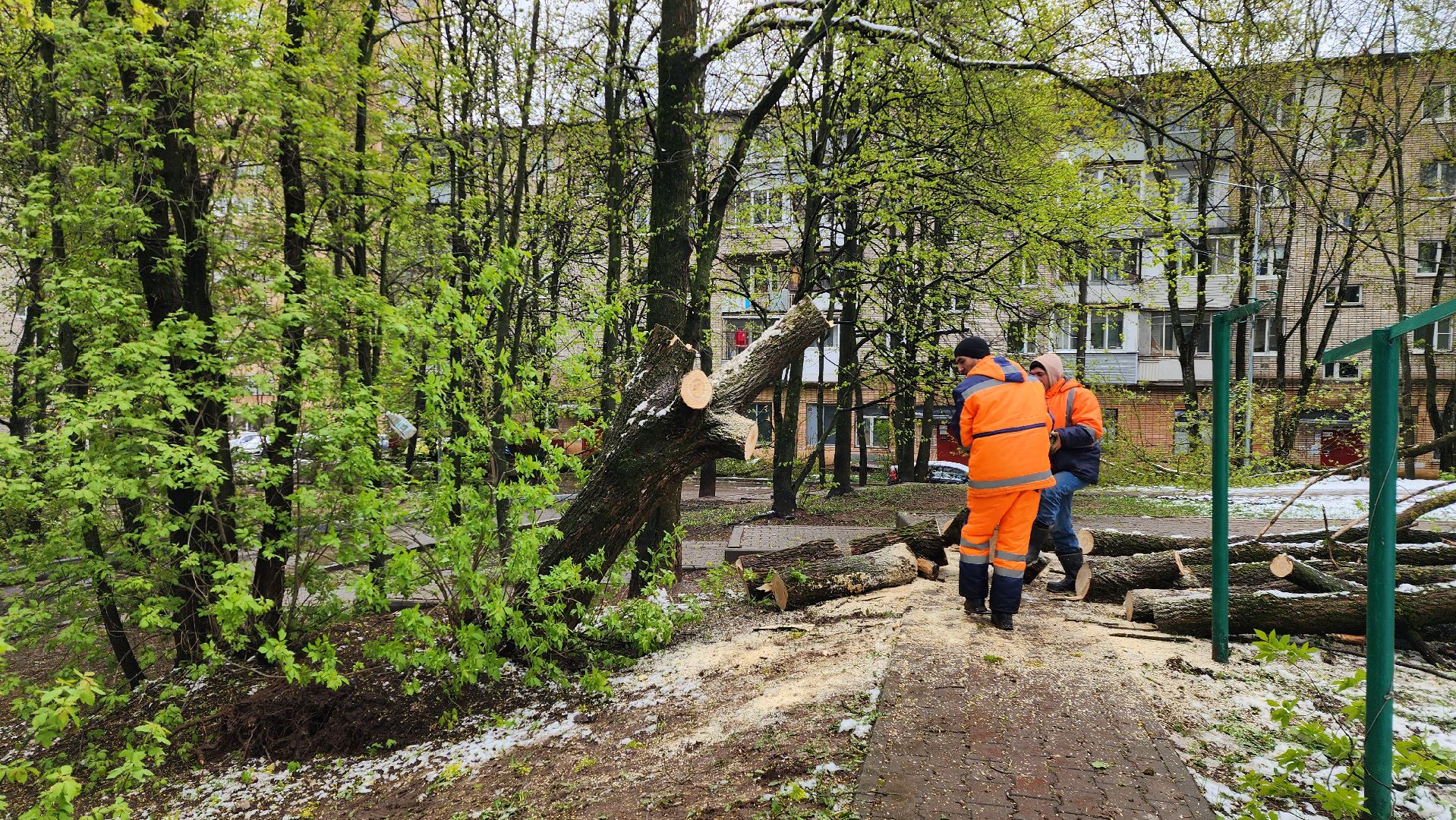 истра, благоустройство, дворы,