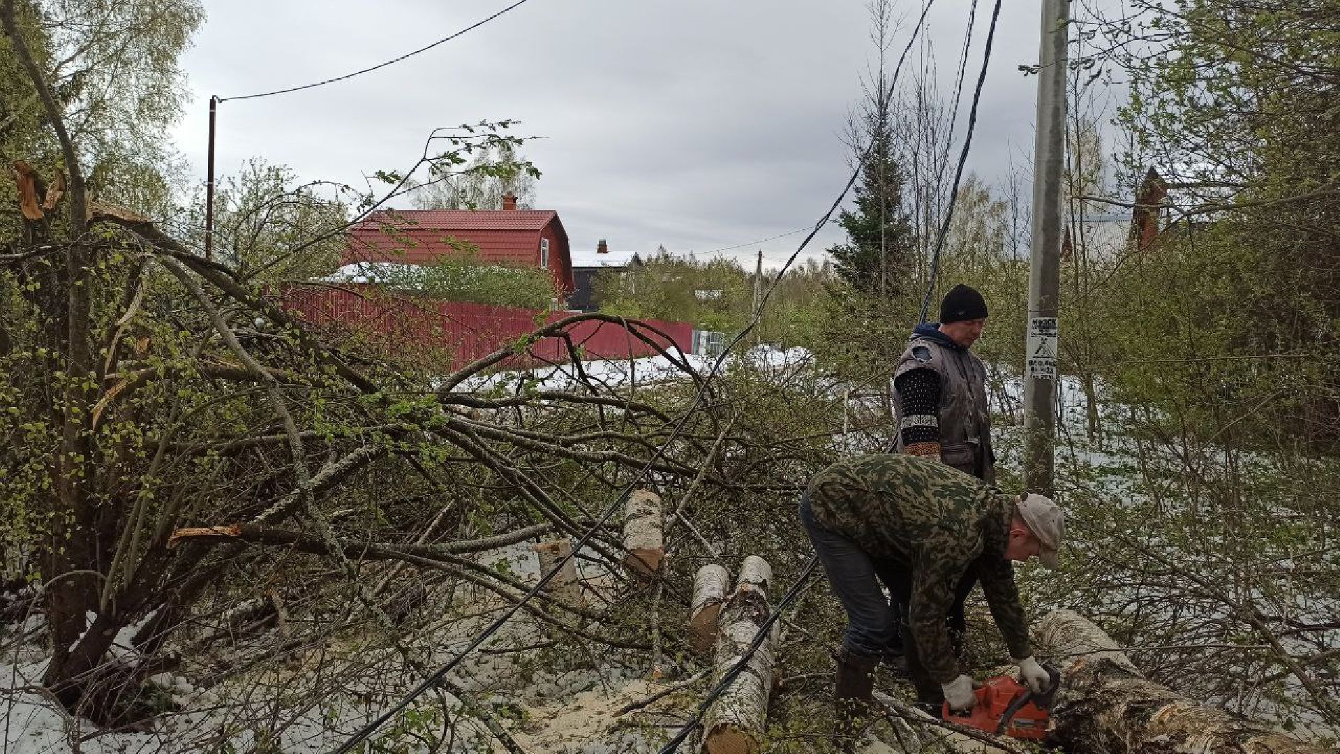 талдомский городской округ, деревня дубки, чп, майский снег, снегопад,