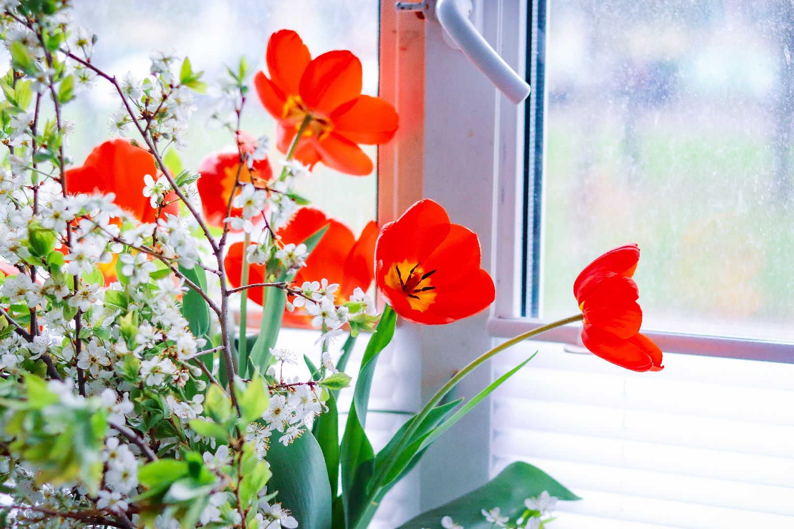 клин, общество, ветераны, таблички в честь ветеранов вов, 80 лет победы, память,