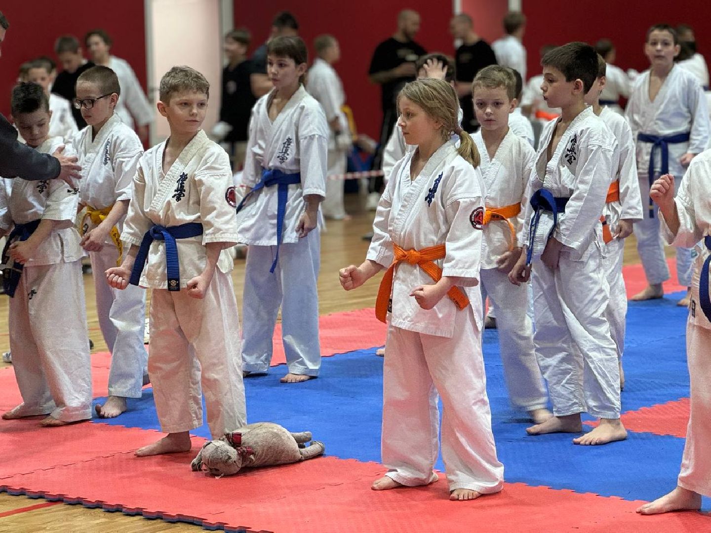 соревнования, турнир, первенство, каратэ-до,