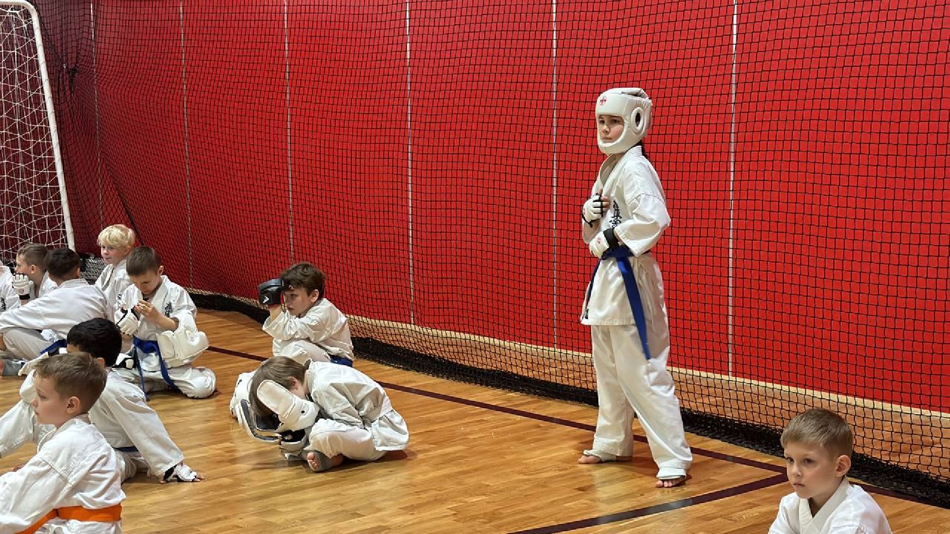 соревнования, турнир, первенство, каратэ-до,