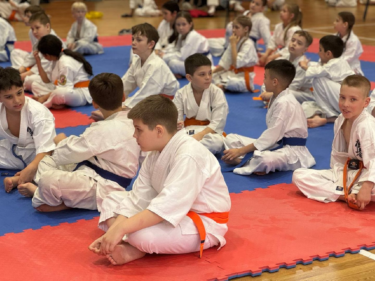 соревнования, турнир, первенство, каратэ-до,