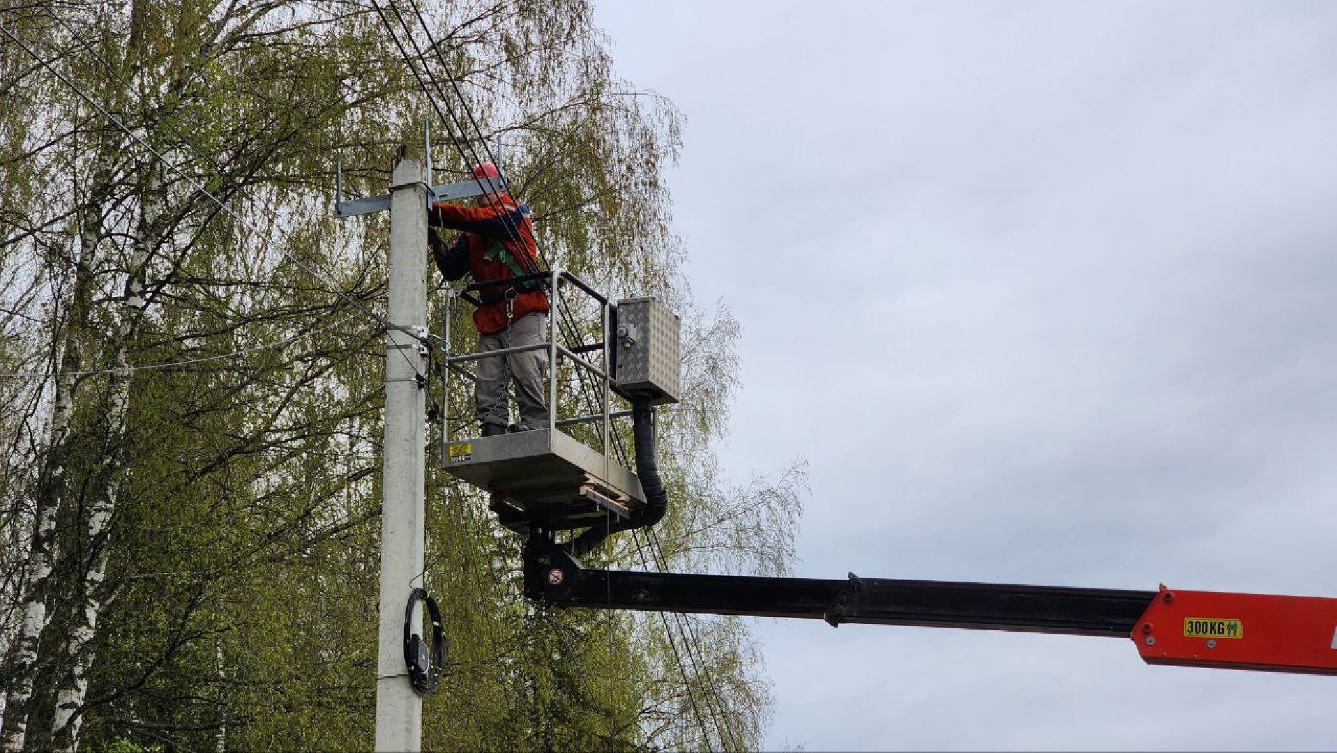 Дмитров, Россети, ЧП, Деревня Гришино,