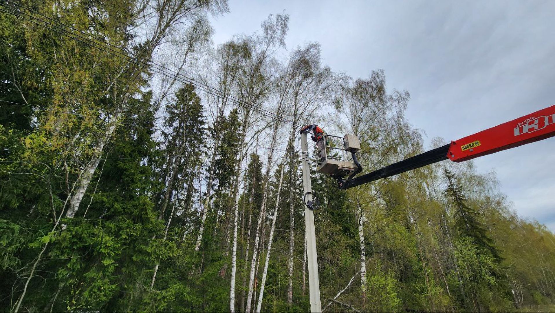 Дмитров, Россети, ЧП, Деревня Гришино,