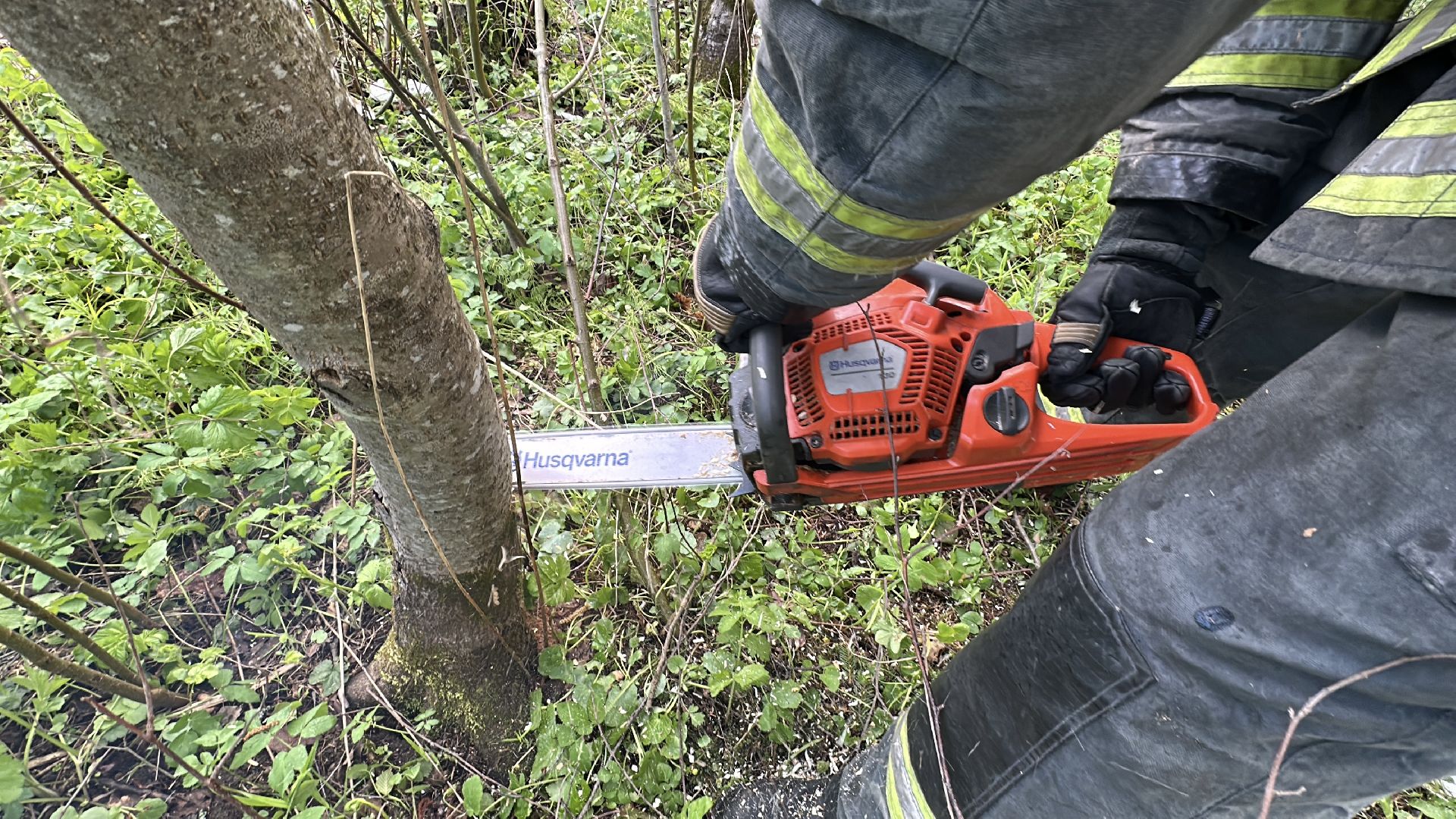 клин, общество, чп, жкх, устранение последствий снегопада, электроэнергия,