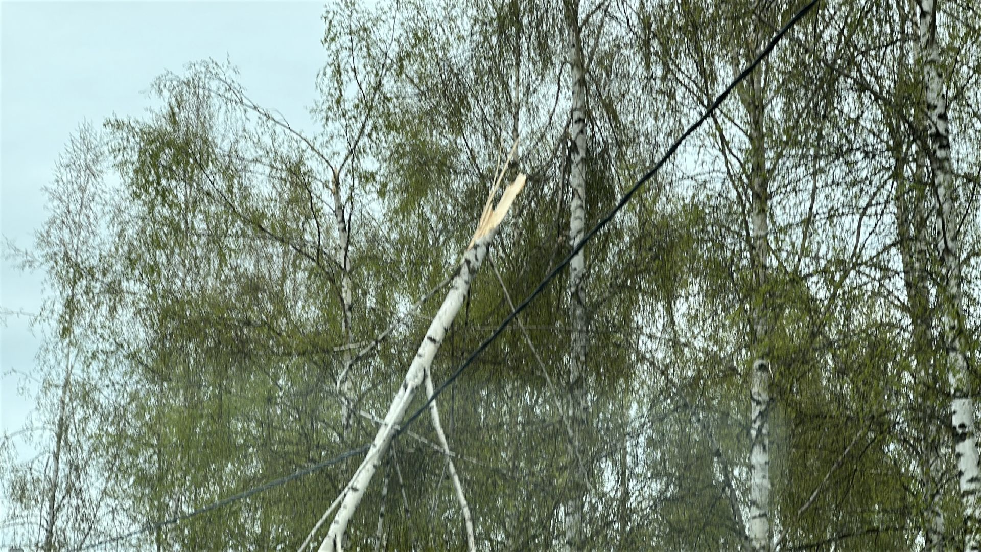 клин, общество, чп, жкх, устранение последствий снегопада, электроэнергия,