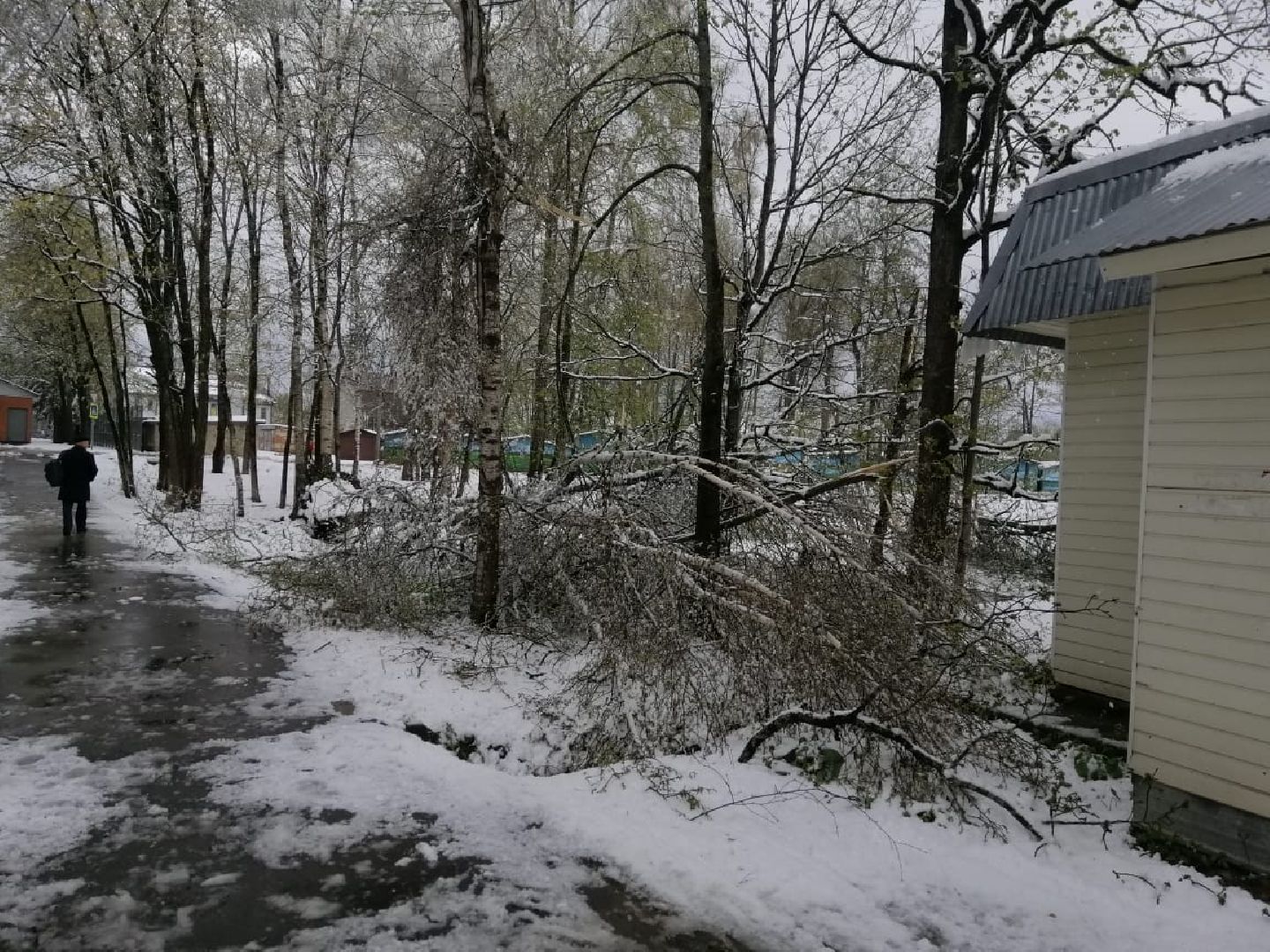 городской округ восход, снегопад, жкх, Засыпало снегом,