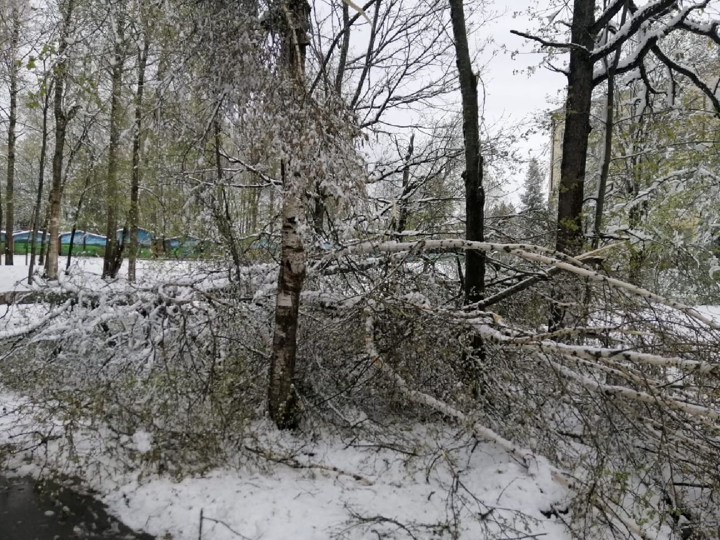 городской округ восход, снегопад, жкх, Засыпало снегом,