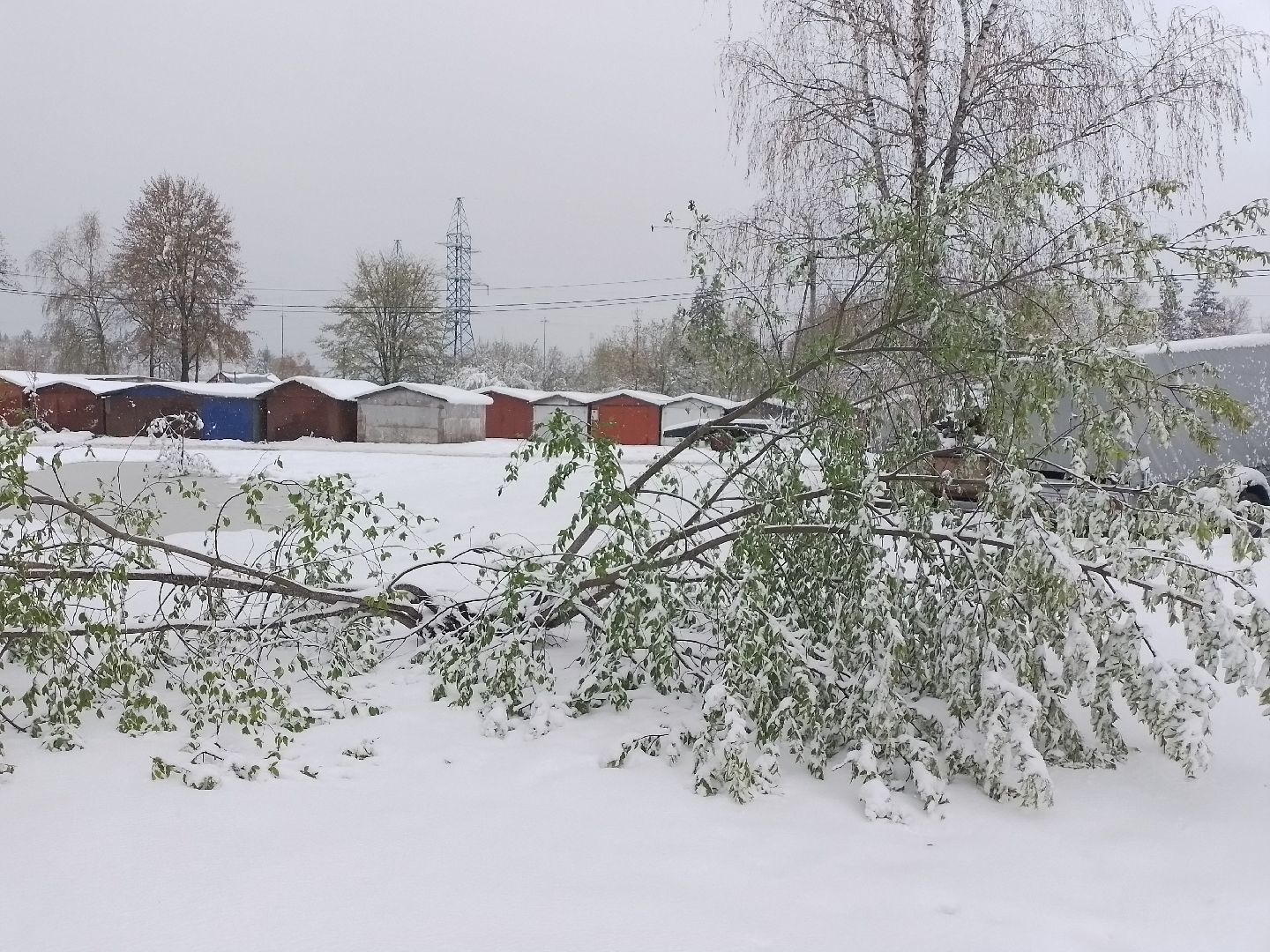 городской округ восход, снегопад, жкх, Засыпало снегом,