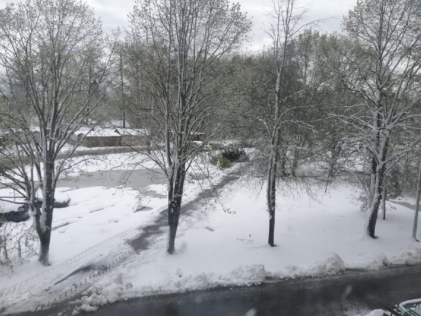 городской округ восход, снегопад, жкх, Засыпало снегом,