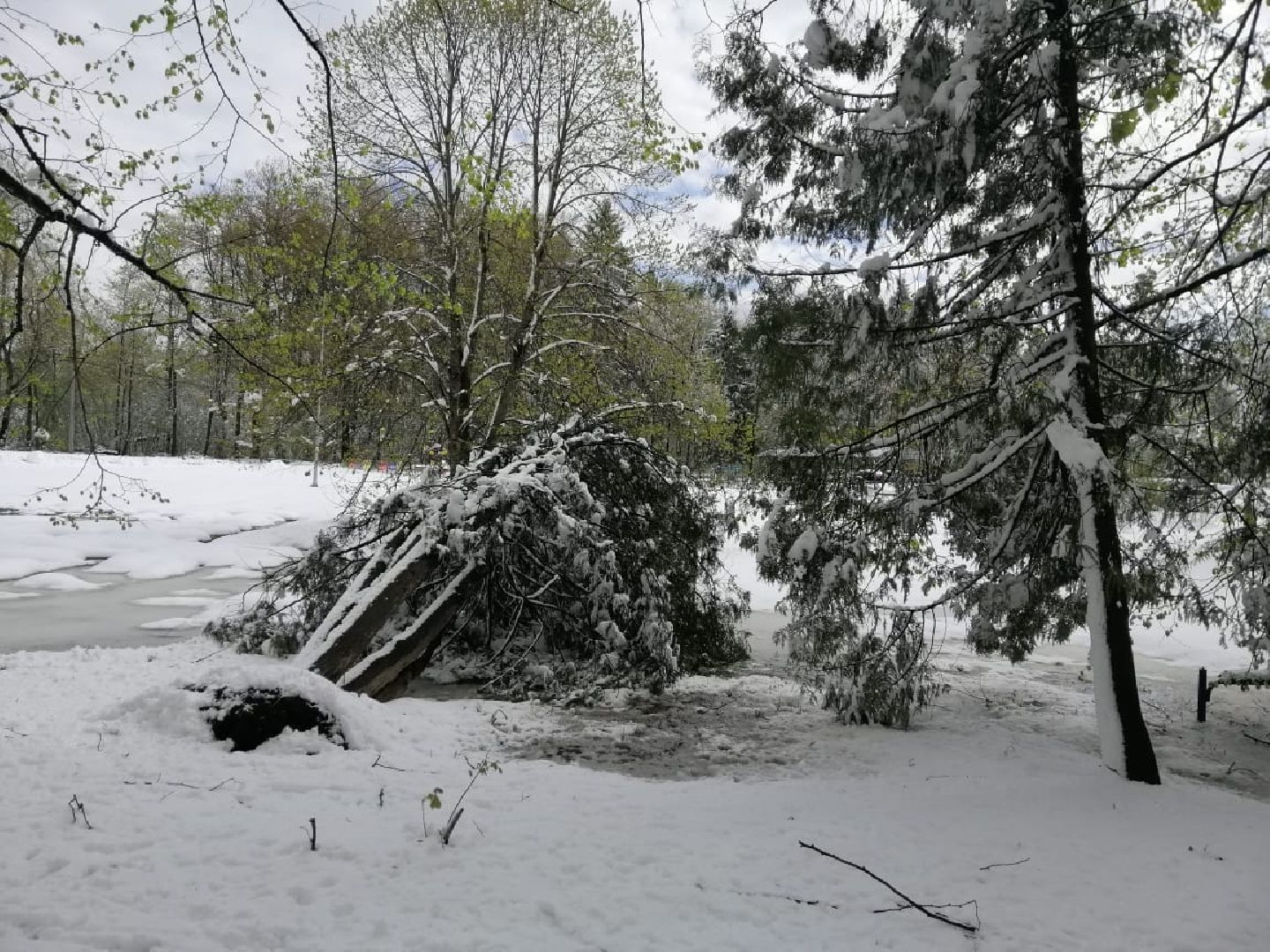 городской округ восход, снегопад, жкх, Засыпало снегом,