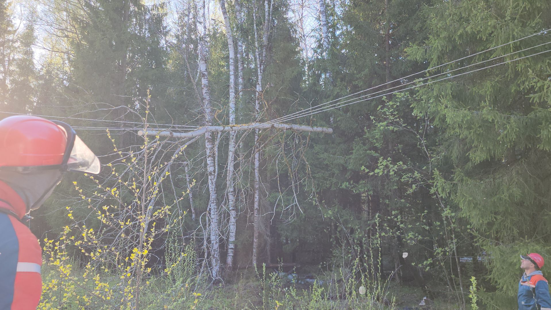 Талдомский округ , Чп, электрика,