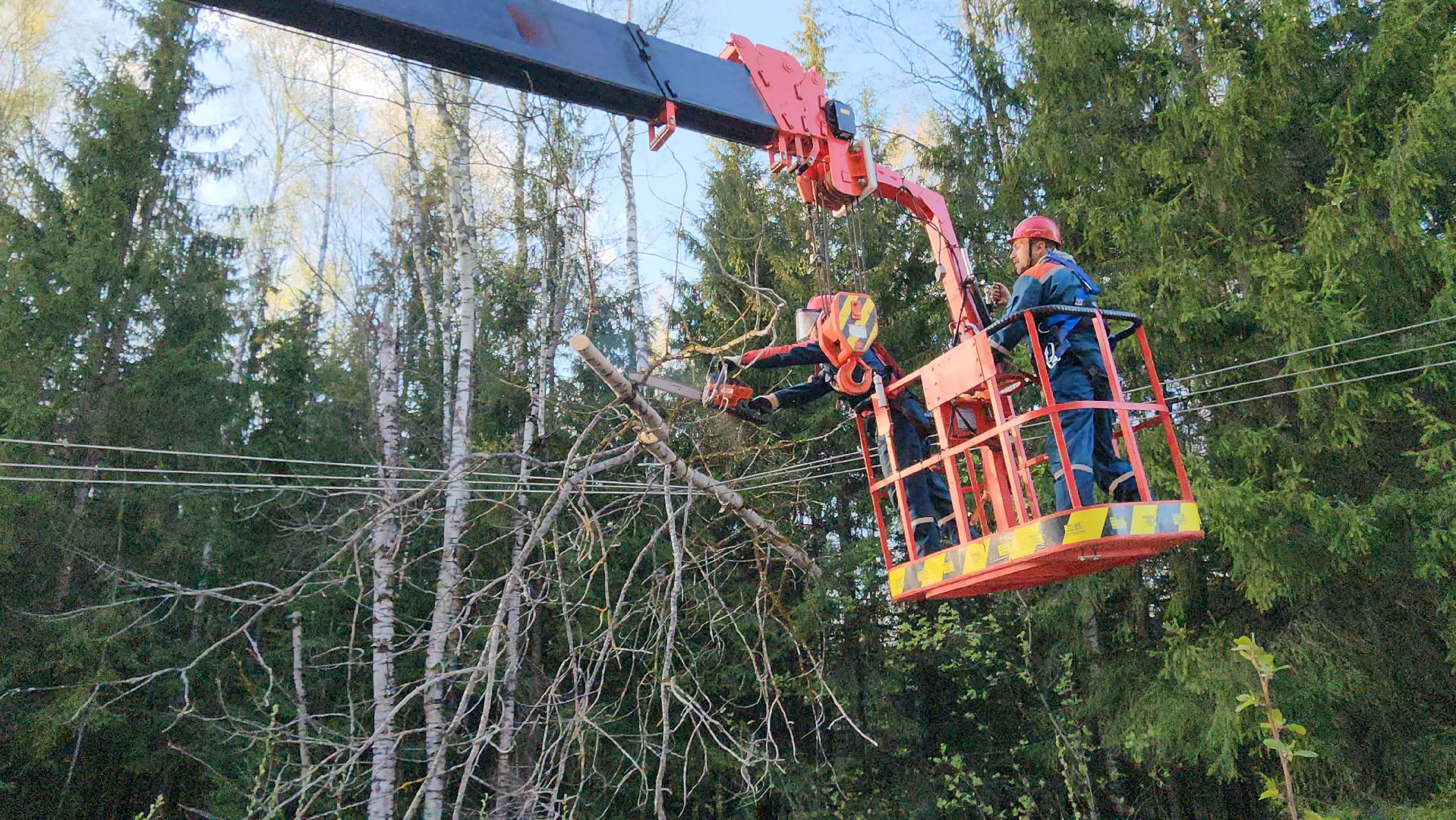 Талдомский округ , Чп, электрика,