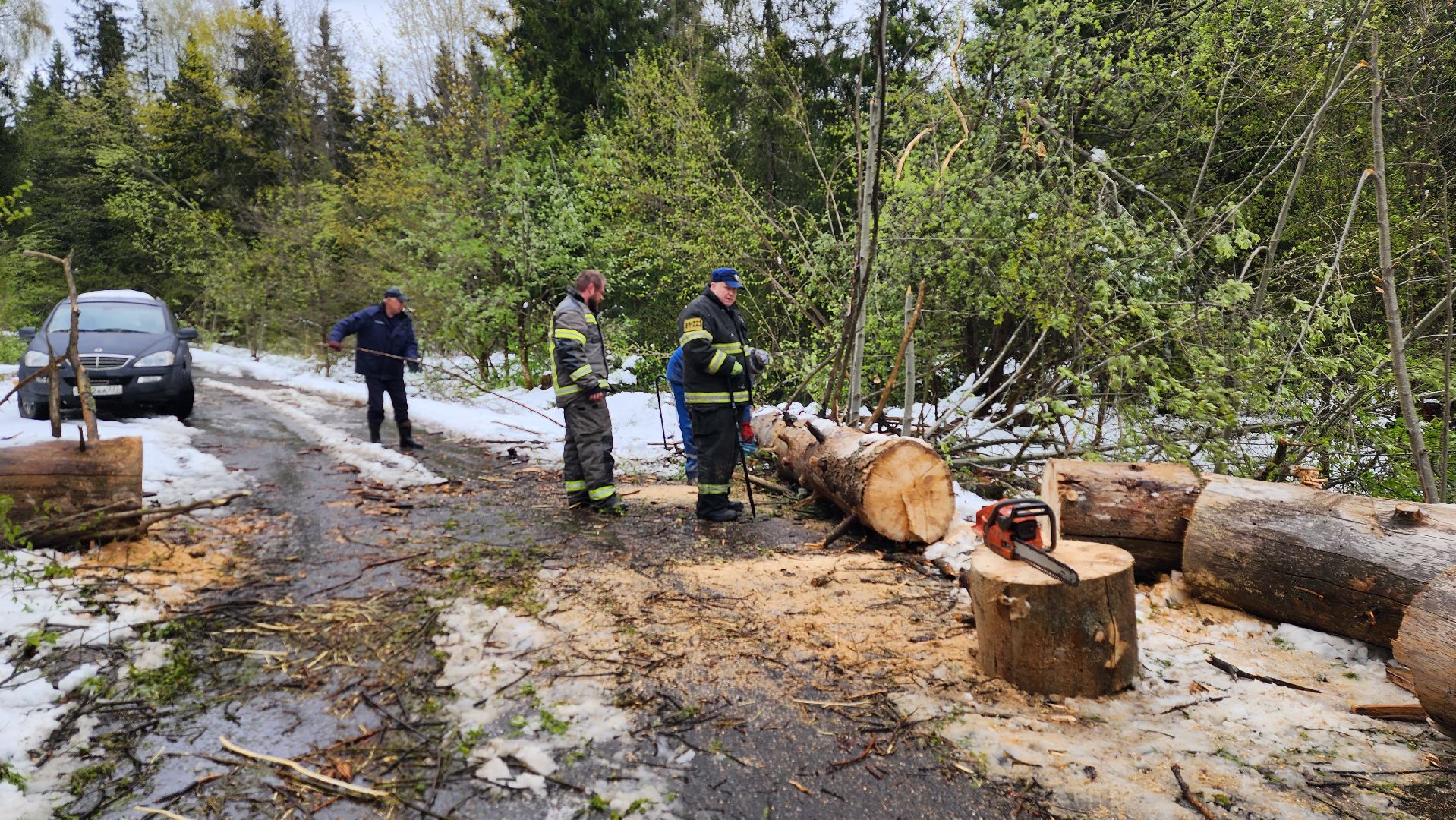 истра, мособлпожспас, ликвидация последствий непогоды,