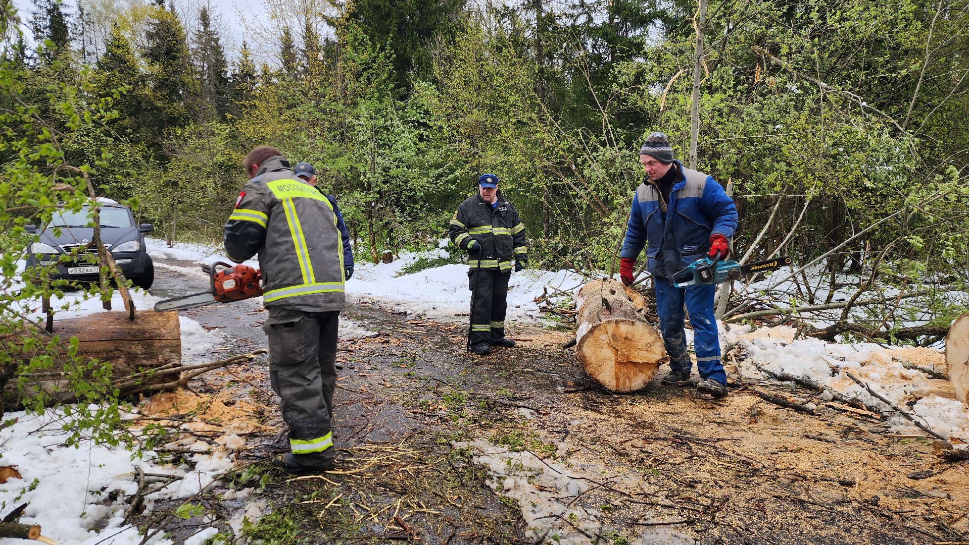 истра, мособлпожспас, ликвидация последствий непогоды,