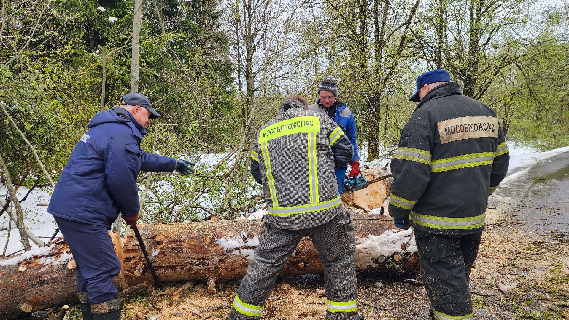 истра, мособлпожспас, ликвидация последствий непогоды,