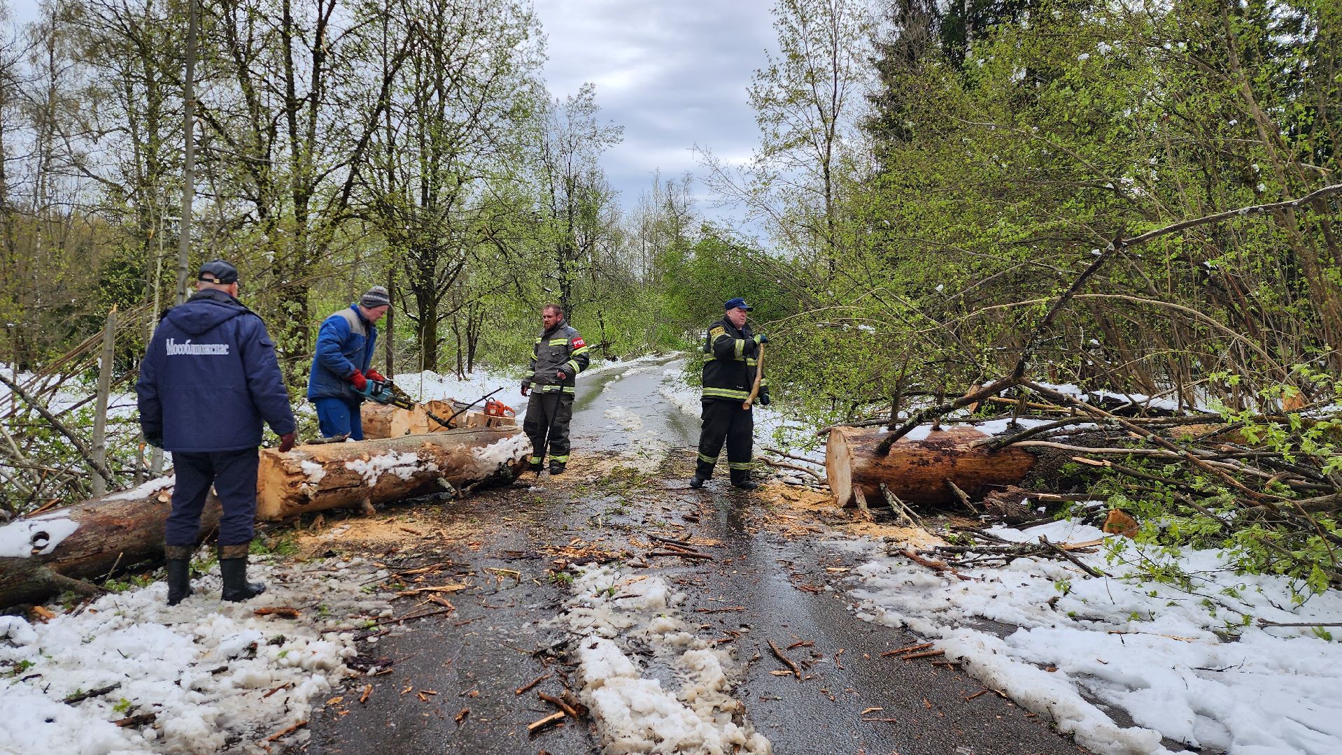 истра, мособлпожспас, ликвидация последствий непогоды,