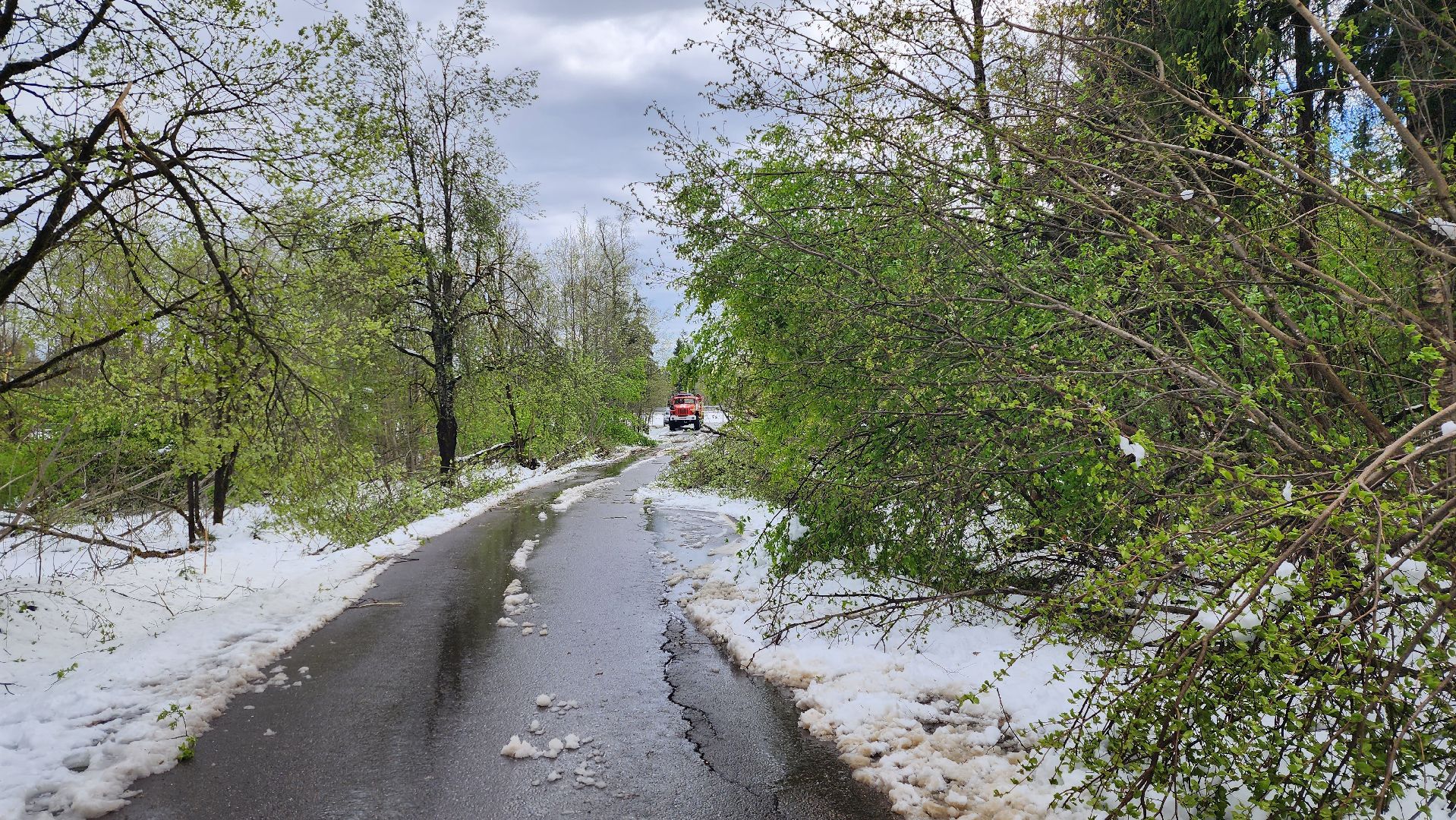 истра, мособлпожспас, ликвидация последствий непогоды,