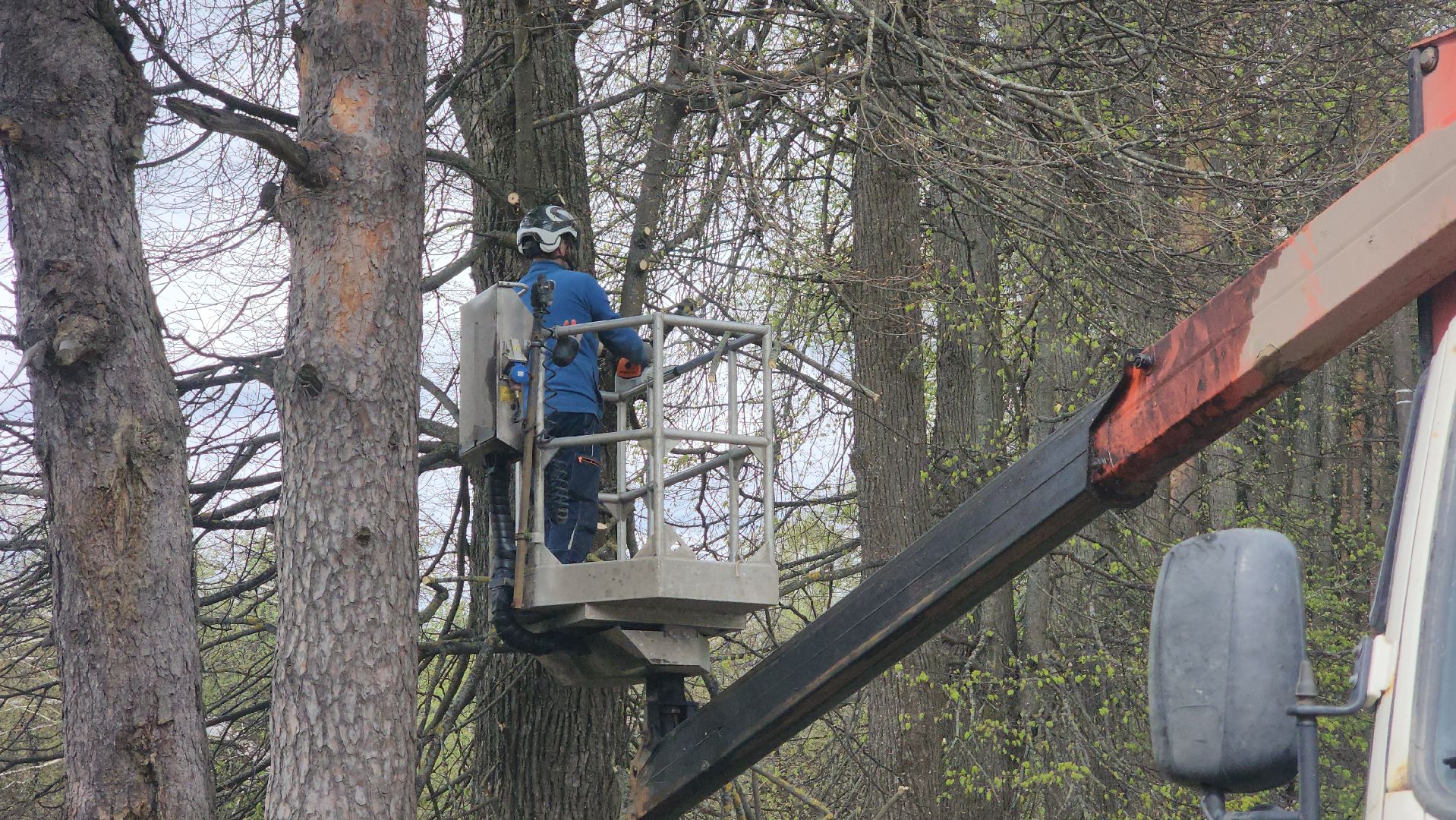 Электричество , ЧП, Истра,
