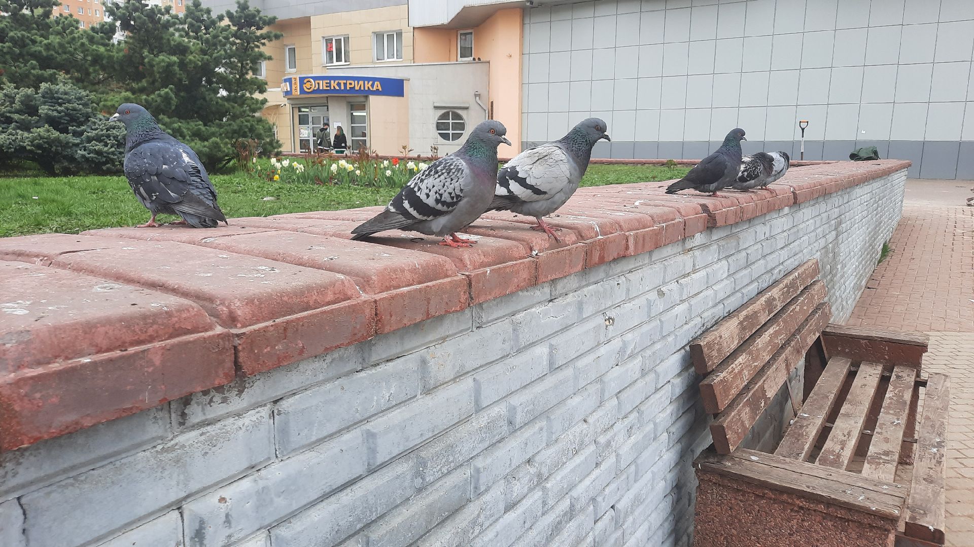 Перемены, Наро-Фоминск, обновлённые ступени, Добродел